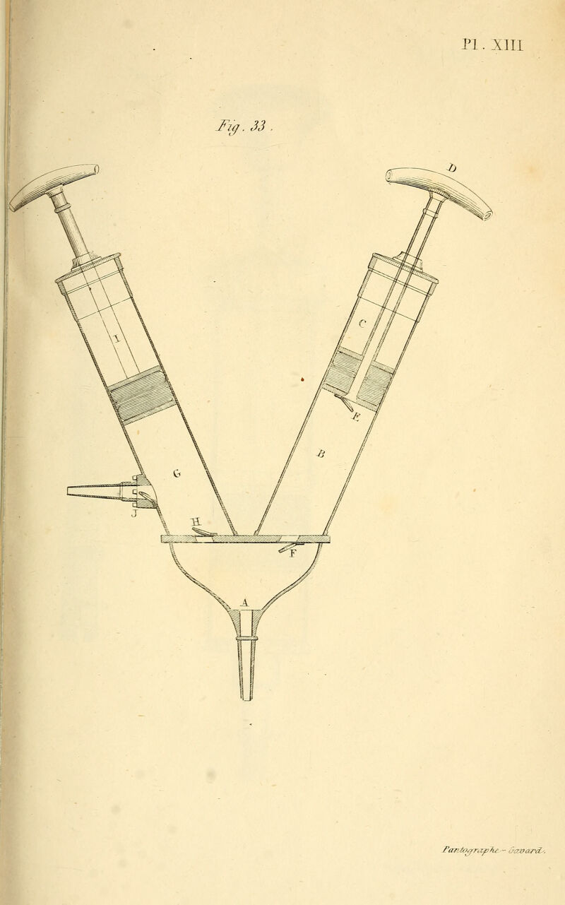 Fanio^raphe - aizoard^.