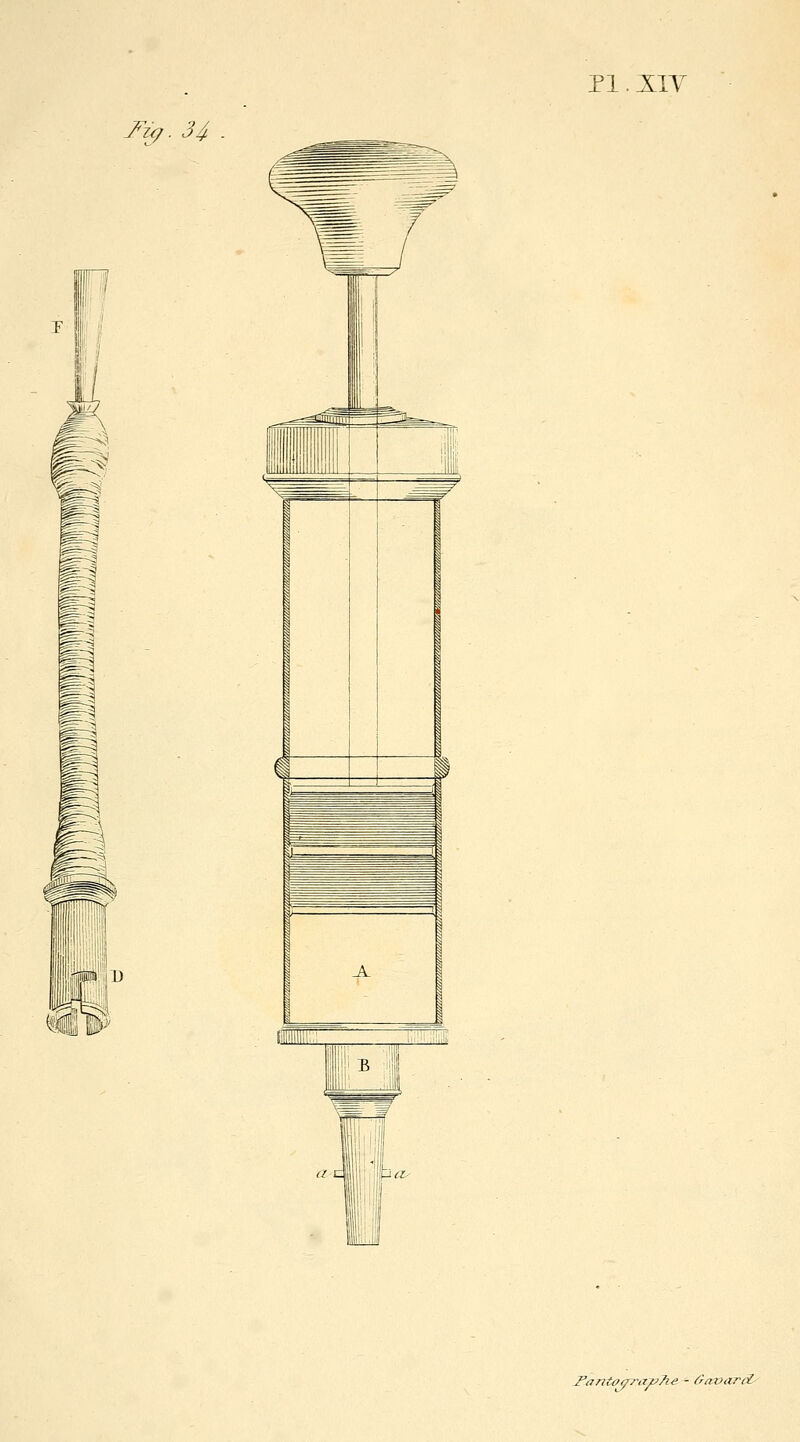 l'ù/. 34 . _A- TaJitf/çv-a^Tie - ûavard