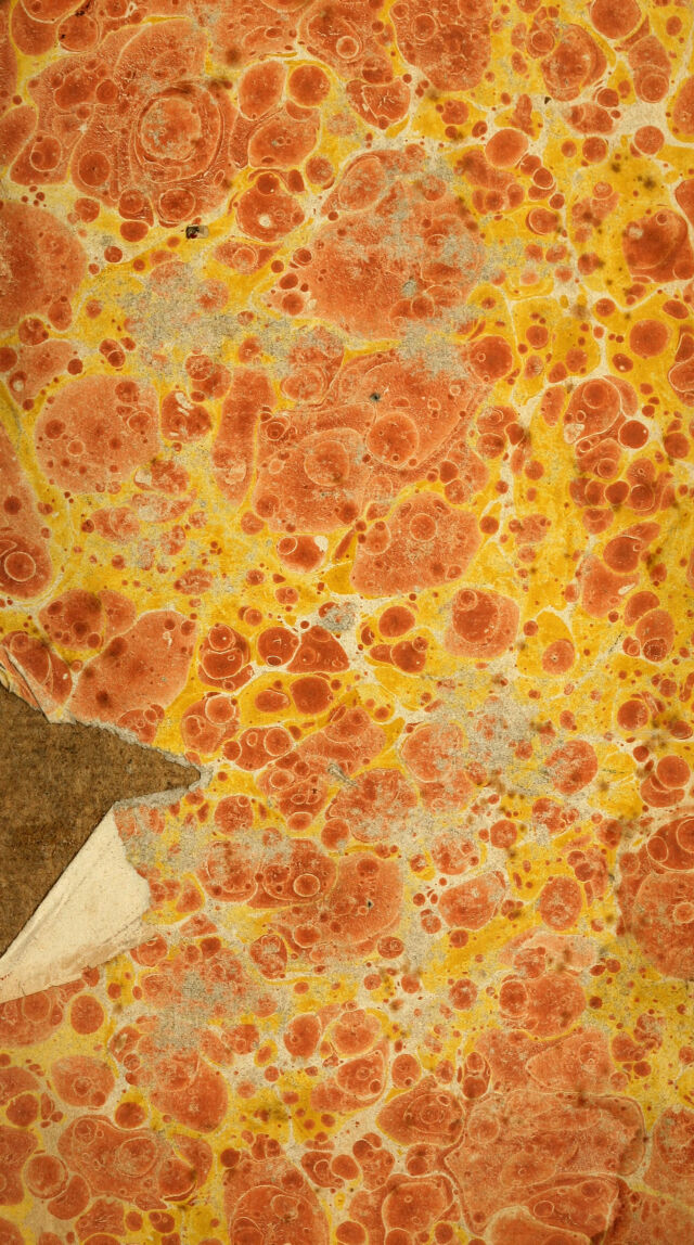 No text description is available for this image