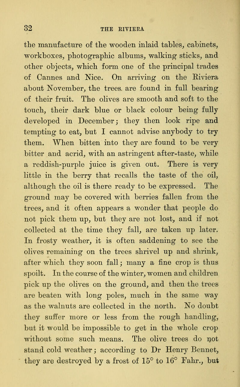 the manufacture of tlie wooden inlaid tables^ cabinets, workboxes, pbotograpliic albums^ walking sticks^ and other objects^ wbicb form one of the principal trades of Cannes and Nice. On arriving on the Riviera about November, the trees, are found in full bearing of tlieir fruit. The olives are smooth and soft to the touch, their dark blue or black colour being fully developed in December; they then look ripe and tempting to eat, but I cannot advise anybody to try them. When bitten into they are found to be very bitter and acrid, with an astringent after-taste, while a reddish-purple juice is given out. There is very little in the berry that recalls the taste of the oil, although the oil is there ready to be expressed. The ground may be covered with berries fallen from the trees, and it often appears a wonder that people do not pick them up, but they are not lost, and if not collected at the time they fall, are taken up later. In frosty weather, it is often saddening to see the olives remaining on the trees shrivel up and shrink, after which they soon fall; many a fine crop is thus spoilt. In the course of the winter, women and children pick up the olives on the ground, and then the trees are beaten with long poles, much in the same way as the walnuts are collected in the north. No doubt they suffer more or less from the rough handling, but it would be impossible to get in the whole crop without some such means. The olive trees do not stand cold weather; according to Dr Henry Bennet, they are destroyed by a frost of 15° to 16° Fahr., but