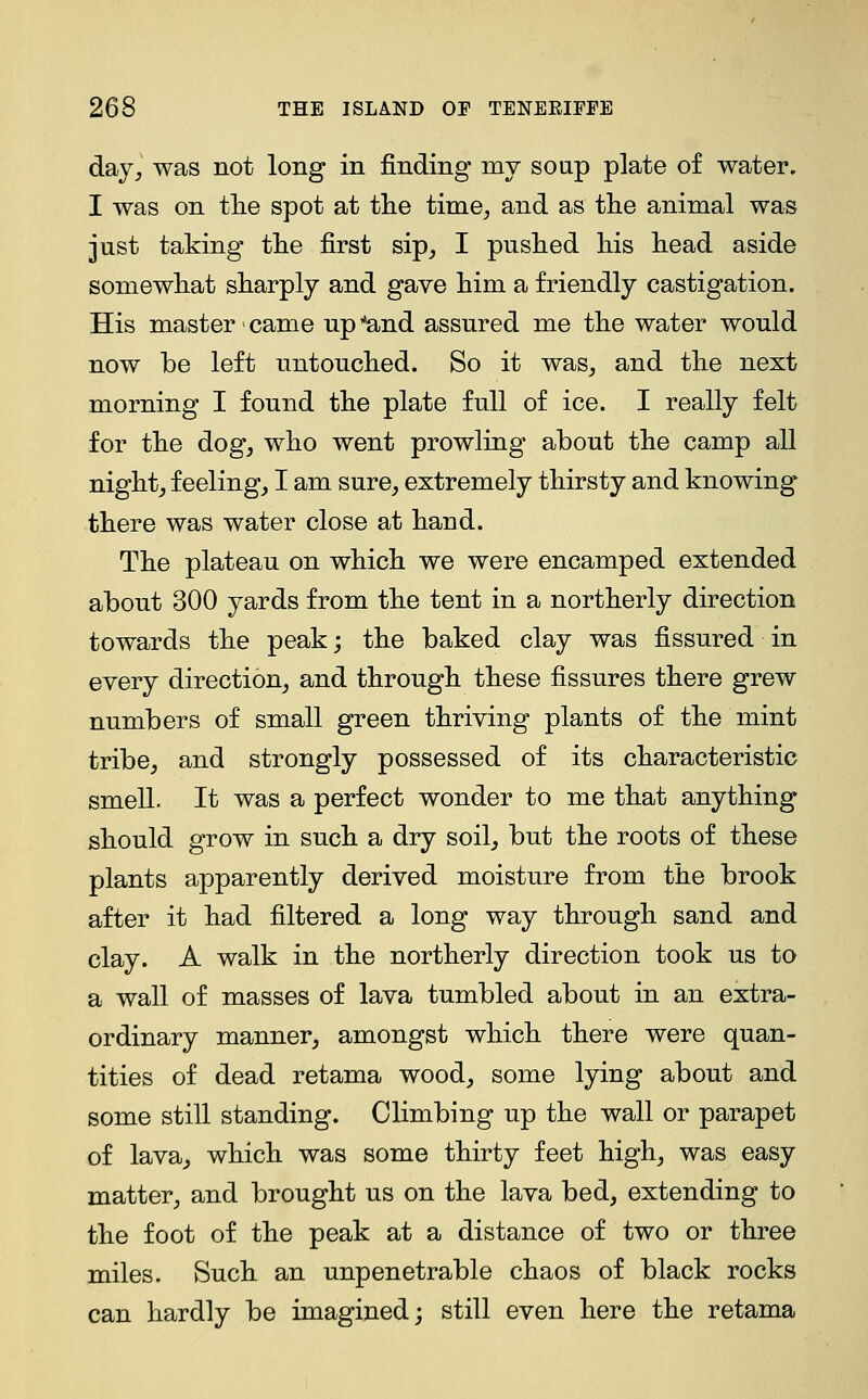 day^ was not long in finding my soup plate of water. I was on tlie spot at tlie time, and as tlie animal was just taking the first sip, I pushed his head aside somewhat sharply and gave him a friendly castigation. His master > came np '*and assured me the water would now be left untouched. So it was, and the next morning I found the plate full of ice. I really felt for the dog, who went prowling about the camp all night, feeling, I am sure, extremely thirsty and knowing there was water close at hand. The plateau on which we were encamped extended about 300 yards from the tent in a northerly direction towards the peak; the baked clay was fissured in every direction, and through these fissures there grew numbers of small green thriving plants of the mint tribe, and strongly possessed of its characteristic smell. It was a perfect wonder to me that anything should grow in such a dry soil, but the roots of these plants apparently derived moisture from the brook after it had filtered a long way through sand and clay. A walk in the northerly direction took us to a wall of masses of lava tumbled about in an extra- ordinary manner, amongst which there were quan- tities of dead retama wood, some lying about and some still standing. Climbing up the wall or parapet of lava, which was some thirty feet high, was easy matter, and brought us on the lava bed, extending to the foot of the peak at a distance of two or three miles. Such an unpenetrable chaos of black rocks can hardly be imagined; still even here the retama