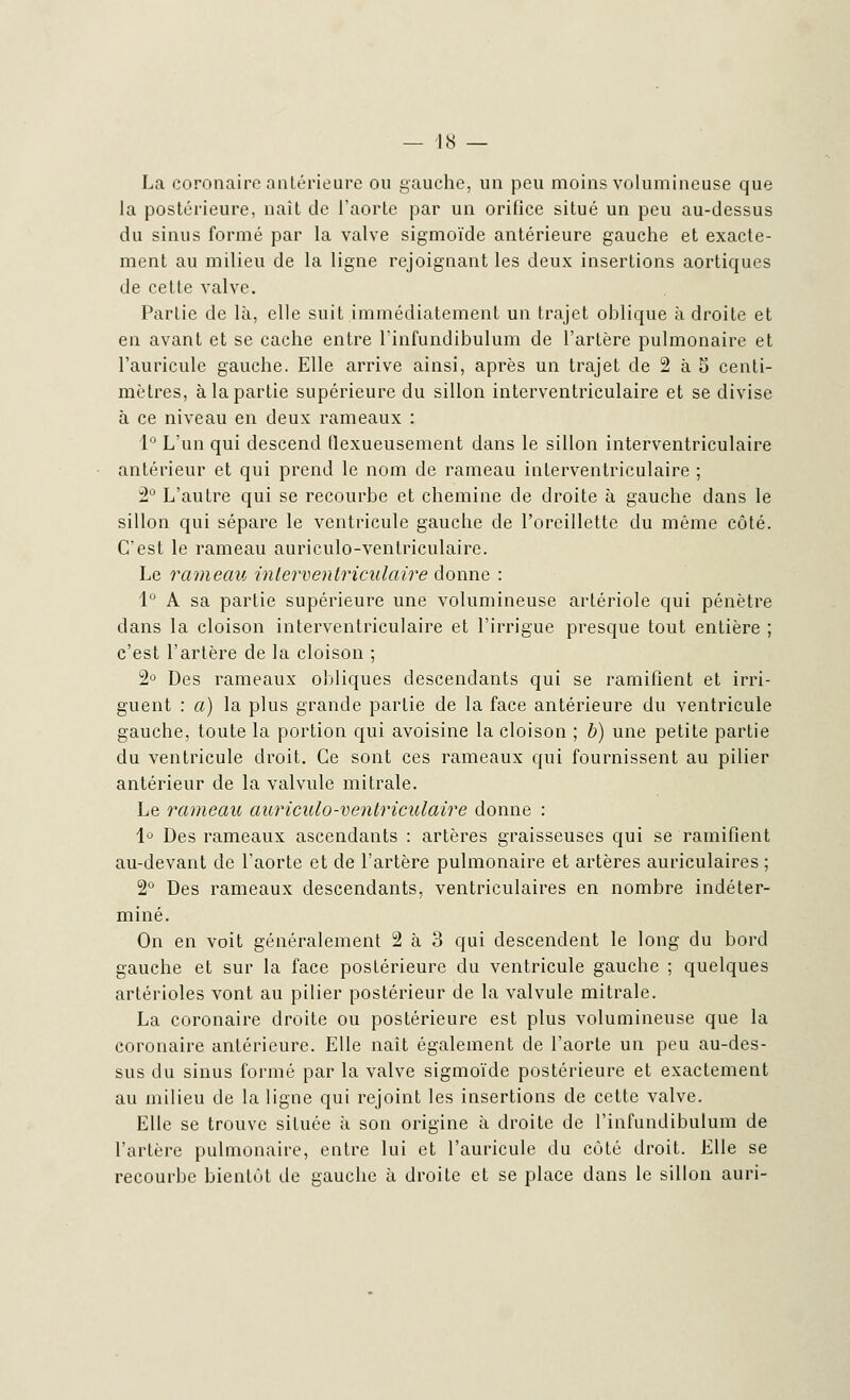 La coronaire antérieure ou gauche, un peu moins volumineuse que la postérieure, naît de l'aorte par un orifice situé un peu au-dessus du sinus formé par la valve sigmoïde antérieure gauche et exacte- ment au milieu de la ligne rejoignant les deux insertions aortiques de cette valve. Partie de là, elle suit immédiatement un trajet oblique à droite et en avant et se cache entre rinfundibulum de l'artère pulmonaire et l'auricule gauche. Elle arrive ainsi, après un trajet de 2 à 5 centi- mètres, à la partie supérieure du sillon interventriculaire et se divise à ce niveau en deux rameaux : 1° L'un qui descend tlexueusement dans le sillon interventriculaire antérieur et qui prend le nom de rameau interventriculaire ; 2° L'autre qui se recourbe et chemine de droite à gauche dans le sillon qui sépare le ventricule gauche de l'oreillette du même côté. C'est le rameau auriculo-ventriculairc. Le rameau interventriculaire donne : 1° A sa partie supérieure une volumineuse artériole qui pénètre dans la cloison interventriculaire et l'irrigue presque tout entière ; c'est l'artère de la cloison ; 2° Des rameaux obliques descendants qui se ramifient et irri- guent : a) la plus grande partie de la face antérieure du ventricule gauche, toute la portion qui avoisine la cloison ; b) une petite partie du ventricule droit. Ce sont ces rameaux qui fournissent au pilier antérieur de la valvule mitrale. Le rameau auriculo-ventriculaire donne : 1° Des rameaux ascendants : artères graisseuses qui se ramifient au-devant de l'aorte et de l'artère pulmonaire et artères auriculaires ; 2° Des rameaux descendants, ventriculaires en nombre indéter- miné. On en voit généralement 2 à 3 qui descendent le long du bord gauche et sur la face postérieure du ventricule gauche ; quelques artéiioles vont au pilier postérieur de la valvule mitrale. La coronaire droite ou postérieure est plus volumineuse que la coronaire antérieure. Elle naît également de l'aorte un peu au-des- sus du sinus formé par la valve sigmoïde postérieure et exactement au milieu de la ligne qui rejoint les insertions de cette valve. Elle se trouve située à son origine à droite de l'infundibulum de l'artère pulmonaire, entre lui et l'auricule du côté droit. Elle se recourbe bientôt de gauche à droite et se place dans le sillon auri-
