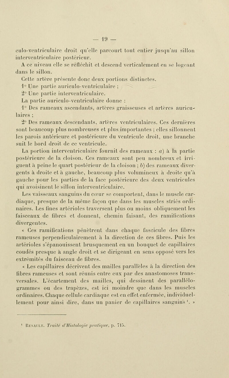 culo-ventriculaire droit qu'elle parcourt tout entier jusqu'au sillon interventriculaire postérieur. A ce niveau elle se réfléchit et descend verticalement en se logeant dans le sillon. Cette artère présente donc deux portions distinctes. 1° Une partie auriculo-ventriculaire ; 2° Une partie interventriculaire. La partie auriculo-ventriculaire donne : 4° Des rameaux ascendants, artères graisseuses et artères auricu- laires ; 2° Des rameaux descendants, artères ventriculaires. Ces dernières sont beaucoup plus nombreuses et plus importantes ; elles sillonnent les parois antérieure et postérieure clu ventricule droit, une branche suit le bord droit de ce ventricule. La portion interventriculaire fournit des rameaux : a) à la partie postérieure de la cloison. Ces rameaux sont peu nombreux et irri- guent à peine le quart postérieur de la cloison ; b) des rameaux diver- gents à droite et à gauche, beaucoup plus volumineux à droite qu'à gauche pour les parties de la face postérieure des deux ventricules qui avoisinent le sillon interventriculaire. Les vaisseaux sanguins du cœur se comportent, dans le muscle car- diaque, presque de la même façon que dans les muscles striés ordi- naires. Les fines artérioles traversent plus ou moins obliquement les faisceaux de fibres et donnent, chemin faisant, des ramifications divergentes. « Ces ramifications pénètrent dans chaque fascicule des fibres rameuses perpendiculairement à la direction de ces fibres. Puis les artérioles s'épanouissent brusquement en un bouquet de capillaires coudés presque à angle droit et se dirigeant en sens opposé vers les extrémités du faisceau de fibres. « Les capillaires décrivent des mailles parallèles à la direction des fibres rameuses et sont réunis entre eux par des anastomoses trans- versales. L'écartement des mailles, qui dessinent des parallélo- grammes ou des trapèzes, est ici moindre que dans les muscles ordinaires. Chaque cellule cardiaque est en effet enfermée, individuel- lement pour ainsi dire, dans un panier de capillaires sanguins1. » 1 P.EXAi'LT. Traité d'Histologie pratique, p. 715.