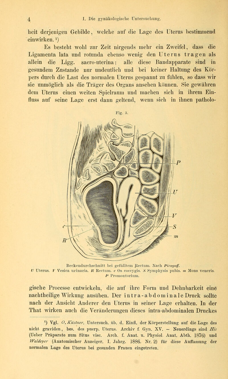 heit derjenigen Gebilde, welche auf die Lage des Uterus bestimmend einwirken, i) Es besteht wohl zur Zeit nirgends mehr ein Zweifel, dass die Ligamenta lata und rotunda ebenso wenig den Uterus tragen als allein die Ligg. sacro-uterina; alle diese Bandapparate sind in gesundem Zustande nur undeutlich und bei keiner Haltung des Kör- pers durch die Last des normalen Uterus gespannt zu fühlen, so dass wir sie unmöglich als die Träger des Organs ansehen können. Sie gewähren dem Uterus einen weiten Spielraum und machen sich in ihrem Ein- fluss auf seine Lage erst dann geltend, wenn sich in ihnen patholo- Fig. 3. Beckendurclischnitt bei gefülltem pectum. Nach Pirorjojf. U Uterus. F Vesica nrinaria. Ji Rectum, c Os coccygis. A' Symphysis pubis. m Mens veneris. P Promontorium. gische Processe entwickeln, die auf ihre Form und Dehnbarkeit eine nachtheilige Wirkung ausüben. Der intra-abdominale Druck sollte nach der Ansicht Anderer den Uterus in seiner Lage erhalten. In der That wirken auch die Veränderungen dieses intra-abdominalen Druckes ') Vgl. O. Küstiier, Untersuch, üb. d. Einfl. der Körperstellung auf die Lage des nicht graviden, bes. des puerp. Uterus. Archiv f. Gyn. XV. — Neuerdings sind His (Ueber Präparate zum Situs visc. Arch. f. Anat. u. Physiol. Anat. Abth. 1876) und Waldeyer (Anatomischer Anzeiger. I. Jahrg. 1886. Nr. 2) für diese Auffassung der normalen Lage des Uterus bei gesunden Frauen eingetreten.