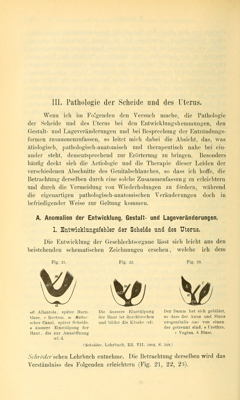 Wenn ich im Folgenden den Versuch mache, die Pathologie der Scheide und des Uterus bei den Entwicklungshemmungen, den Gestalt- und Lageveränderungen und. bei Besprechung der Entzündungs- formen zusammenzufassen, so leitet mich dabei die Absicht, das, was ätiologisch, pathologisch-anatomisch und therapeutisch nahe bei ein- ander steht, dementsprechend zur Erörterung zu bringen. Besonders häufig deckt sich die Aetiologie und die Therapie dieser Leiden der verschiedenen Abschnitte des Genitalschlauches, so dass ich hoffe, die Betrachtung derselben durch eine solche Zusammenfassun g zu erleichtern und durch die Vermeidung von Wiederholungen zu fordern, während die eigenartigen pathologisch-anatomischen Veränderungen doch in befriedigender Weise zur Geltung kommen. A. Anomalien der Entwicklung, Gestalt- und Lageveränderungen. 1. Entwicklungsfehler der Scheide und des Uterus. Die Entwicklung der Geschlechtsorgane lässt sich leicht aus den beistehenden schematischen Zeichnungen ersehen, welche ich dem Fig. 21. Fig. 22. Fig. 23. Die äussere Einstülpung der Haut ist durchbrochen und bildet die Kloake (d). all AUantois, später Harn- blase, r Rectum, m ßliUler- scher Canal, später Scheide. a äussere Einstülpung der Haut, die zur Anusöffnung wi'd. (Schröder, Lehrbuch. Ed. VII. 1884, S. 519.) Der Damm hat sich gebildet, so dass der Anus und Sinus urogenitalis fsu) von einan- der getrennt sind, u Urethra. V Vagina, h Blase. Schröder'scheu Lehrbuch entnehme. Die Betrachtung derselben wird das Verständniss des Folgenden erleichtern (Fig. 21, 22, 23).