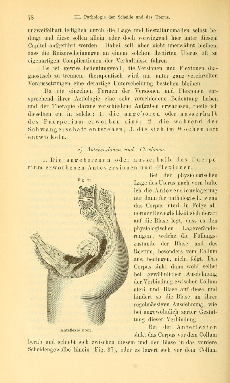 unzweifelhaft lediglich durch die Lage und Gestaltanomalien selbst be- dingt und diese sollen allein oder doch vorwiegend hier unter diesem Capitel aufgeführt werden. Dabei soll aber nicht unerwähnt bleiben, dass die Reizerscheinungen an einem solchen flectirten Uterus oft zu eigenartigen Complicationen der Verhältnisse fuhren. Es ist gewiss bedeutungsvoll, die Versionen und Flexionen dia- gnostisch zu trennen, therapeutisch wird nur unter ganz vereinzelten Voraussetzungen eine derartige Unterscheidimg bestehen bleiben. Da die einzelnen Formen der Versionen und Flexionen ent- sprechend ihrer Aetiologie eine sehr verschiedene Bedeutung haben und der Therapie daraus verschiedene Aufgaben erwachsen, theile ich dieselben ein in solche: 1. die angeboren oder ausserhalb des Puerperium erworben sind; 2. die während der Schwangerschaft entstehen- 3. die sich im Wochenbett entwickeln. oj Anfeversionen und -Flexionen. 1. Die angeborenen oder ausserhalb des Puerpe- rium erworbenen A n t e v e r s i o n e n und -Flexionen. Bei der physiologischen ^^' ^' Lage des Uterus nach vorn halte ich die Anteversionslagerung nur dann für pathologisch, wenn das Corpus uteri in Folge ab- normer Beweglichkeit sich derart auf die Blase legt, dass es den physiologischen Lageverände- rungen , welche die Füllungs- zustände der Blase und des Rectum, besonders vom Collum aus, bedingen, nicht folgt. Das Corpus sinkt dann wohl selbst bei gewöhnlicher Ausdehnung der Verbindung zwischen Collum uteri und Blase auf diese und hindert so die Blase an ihrer regelmässigen Ausdehnung, wie bei ungewöhnlich zarter Gestal- tung dieser Verbindung. Bei der Anteflexion sinkt das Corpus vor dem Collum herab und schiebt sich zwischen diesem und der Blase in das vordere Scheidengewölbe hinein (Fig. 37), oder es lagert sich vor dem Collum Anteflexio uteri.