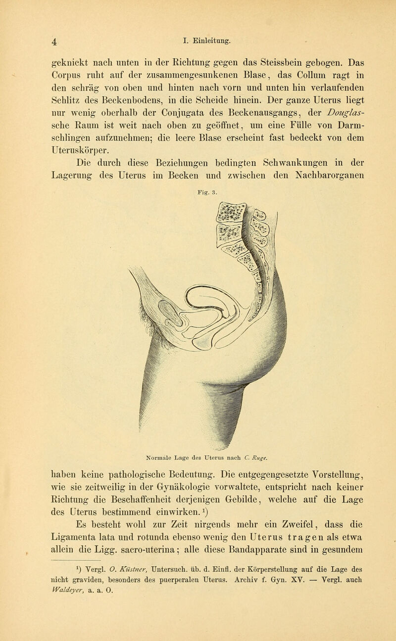 geknickt nach unten in der Richtung gegen das Steissbein gebogen. Das Corpus ruht auf der zusammengesunkenen Blase, das Collum ragt in den schräg von oben und hinten nach vorn und unten hin verlaufenden Schlitz des Beckenbodens, in die Scheide hinein. Der ganze Uterus liegt nur wenig oberhalb der Conjugata des Beckenausgangs, der Douglas- sche Raum ist weit nach oben zu geöffnet, um eine Fülle von Darm- schlingen aufzunehmen; die leere Blase erscheint fast bedeckt von dem Uteruskörper. Die durch diese Beziehungen bedingten Schwankungen in der Lagerung des Uterus im Becken und zwischen den Nachbarorganen Fig. 3. Kormale Lage des Uterus nach C. Rüge. haben keine pathologische Bedeutung. Die entgegengesetzte Vorstellung, wie sie zeitweilig in der Gynäkologie vorwaltete, entspricht nach keiner Richtung die Beschaffenheit derjenigen Gebilde, welche auf die Lage des Uterus bestimmend einwirken.a) Es besteht wohl zur Zeit nirgends mehr ein Zweifel, dass die Ligamenta lata und rotunda ebenso wenig den Uterus tragen als etwa allein die Ligg. sacro-uterina; alle diese Bandapparate sind in gesundem ') Yergl. O, Küstner, Untersuch, üb. d. Einfl. der Körperstellung auf die Lage des nicht graviden, besonders des puerperalen Uterus. Archiv f. Gyn. XV. — Vergl. auch