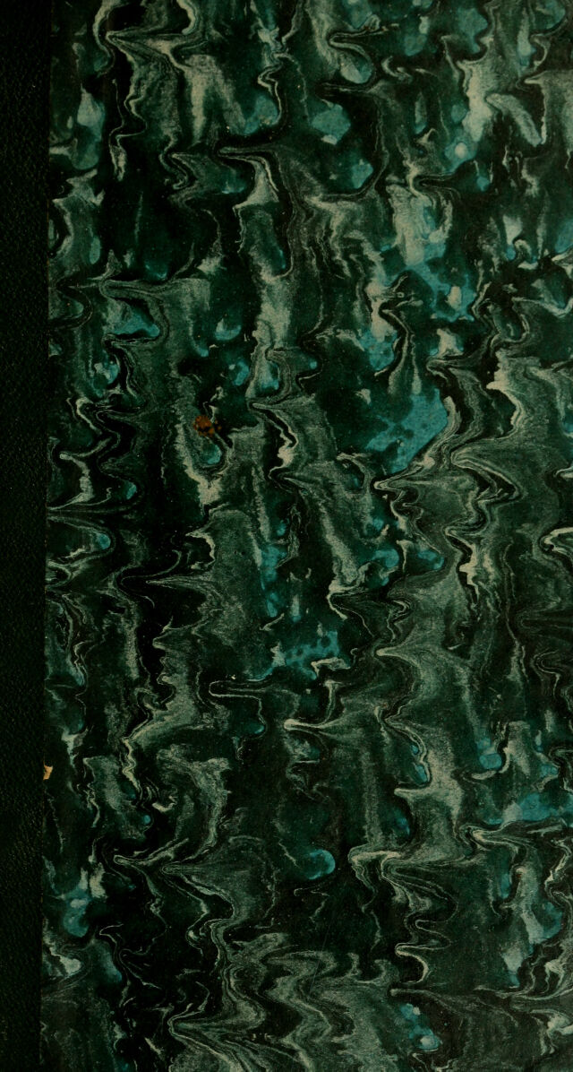 digitised image 1