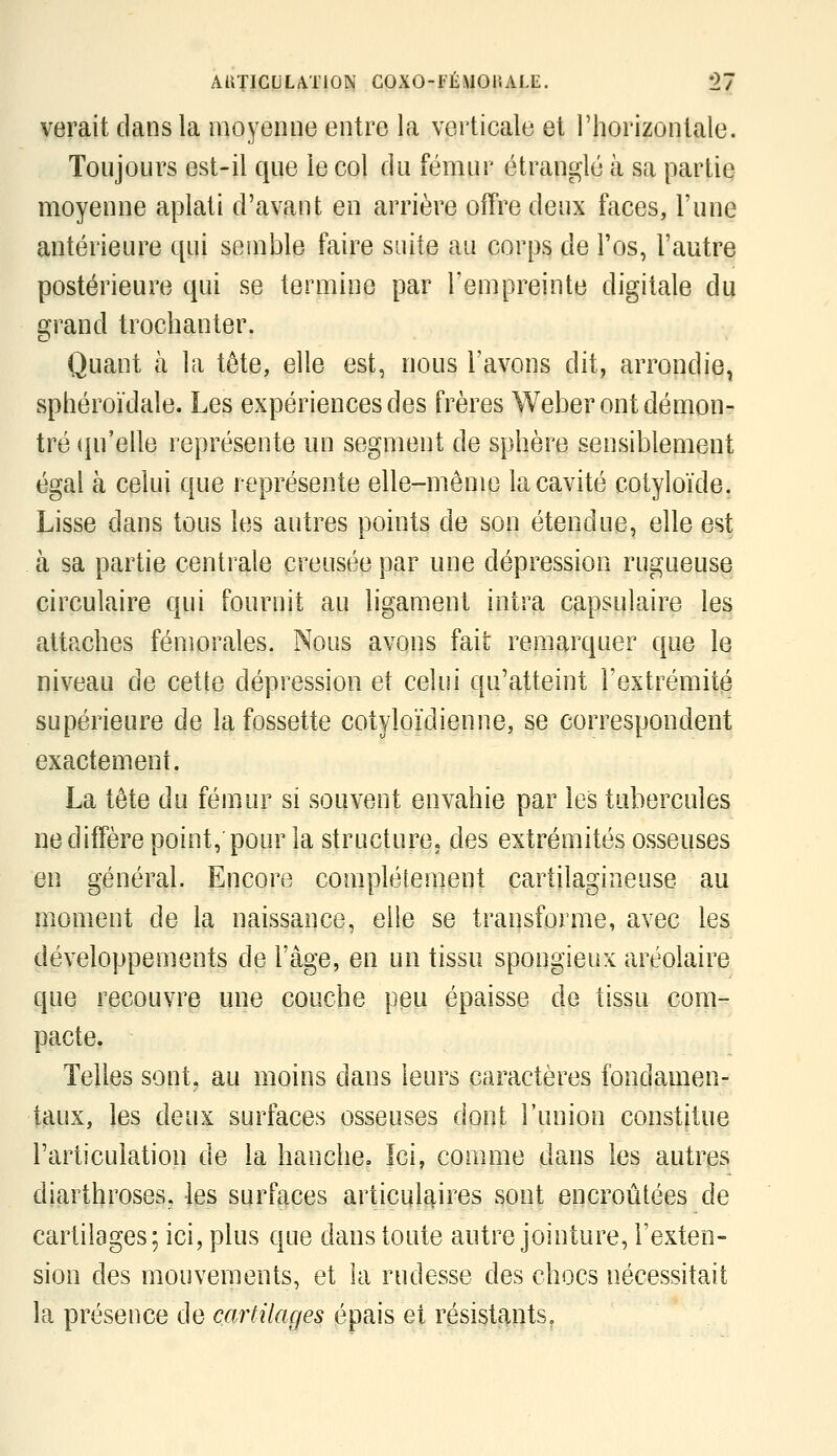 verait dans la moyenne entre la verticale et l'horizontale. Toujours est-il que le col du fémur étranglé à sa partie moyenne aplati d'avant en arrière offre deux faces, l'une antérieure qui semble faire suite au corps de Fos, l'autre postérieure qui se termine par l'empreinte digitale du i^rand trochanter. Quant à la tête, elle est, nous l'avons dit, arrondie, sphéroïdale. Les expériences des frères Weber ont démon- tré (pi'elle représente un segment de sphère sensiblement égal à celui que représente elle-même la cavité cotyloïde. Lisse dans tous les autres î3oints de son étendue, elle est à sa partie centrale creusée par une dépression rugueuse circulaire qui fournit au ligament intra capsulaire les attaches fémorales. Nous avons fait remarquer que le niveau de cette dépression et celui qu'atteint l'extrémité supérieure de la fossette cotyloïdienne, se correspondent exactement. La tête du fémur si souvent envahie par les tubercules ne diffère point,'pour la structure, des extrémités osseuses en général. Encore complètement cartilagineuse au moment de la naissance, elle se traqsforme, avec les développements de l'âge, en un tissu spongieux aréolaire que recouvre une couche peu épaisse de tissu com- pacte. Telles sont, au moins dans leurs caractères fondamen- taux, les deux surfaces osseuses dont l'union constitue l'articulation de la hanche. Ici, comme dans les autres diarthroses, les surfaces articulaires sont encroûtées de cartilages; ici, plus que dans toute antre jointure, l'exten- sion des mouvements, et la rudesse des chocs nécessitait la présence de cartilages épais et résistants.