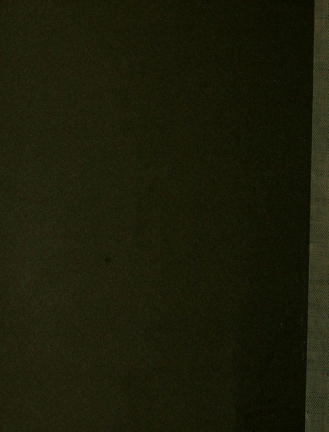 digitised image 2