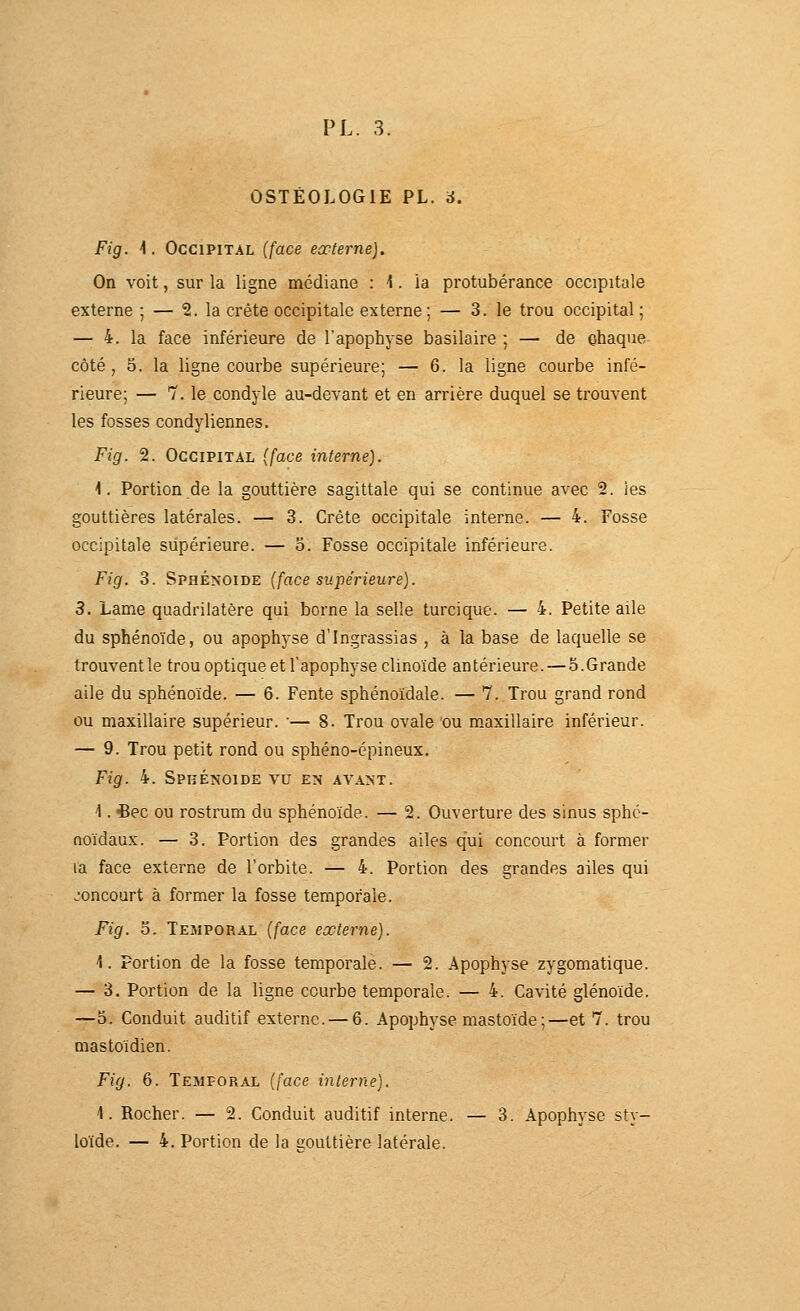 Fig. 4. Occipital (face eœterne). On voit, sur la ligne médiane : 1. la protubérance occipitale externe ; — '2. la crête occipitale externe; — 3. le trou occipital; — 4. la face inférieure de l'apophyse basilaire ; — de ohaque- côté , 5. la ligne courbe supérieure; — 6. la ligne courbe infé- rieure; — 1. le condyle au-devant et en arrière duquel se trouvent les fosses condyliennes. Fig. 2. Occipital (face interne], 4. Portion de la gouttière sagittale qui se continue avec 2. les gouttières latérales. — 3. Crête occipitale interne. — 4. Fosse occipitale supérieure. — o. Fosse occipitale inférieure. Fig. 3. Sphénoïde (face supérieure). 3. Lame quadrilatère qui borne la selle turciquc. — 4. Petite aile du sphénoïde, ou apophyse d'Ingrassias , à la base de laquelle se trouvent le trou optique et Y apophyse clinoïde an térieure. — 5. Grande aile du sphénoïde. — 6. Fente sphénoïdale. — 7. Trou grand rond ou maxillaire supérieur. '— 8. Trou ovale ou maxillaire inférieur. — 9. Trou petit rond ou sphéno-épineux. Fig. 4. Sphénoïde vu en avant. 4. «Bec ou rostrum du sphénoïde. — 2. Ouverture des sinus sphc- noïdaux. — 3. Portion des grandes ailes qui concourt à former la face externe de l'orbite. — 4. Portion des grandes ailes qui joncourt à former la fosse temporale. Fig. 3. Temporal (/ace externe). 4. Portion de la fosse temporale. — 2. Apophyse zygomatique. — 3. Portion de la ligne courbe temporale. — 4. Cavité glénoïde. —o. Conduit auditif externe. — 6. Apophyse mastoïde;—et 7. trou mastoïdien. Fig. 6. Temporal {lace interne). 4. Rocher. — 2. Conduit auditif interne. — 3. Apophyse sty- loïde. — 4. Portion de la gouttière latérale.