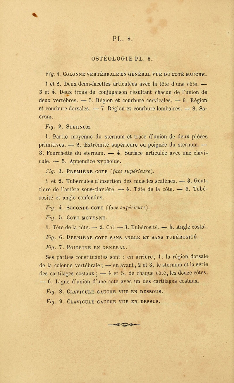 OSTÉOLOGIÊ PL. 8. Fig. ]. Colonne vertébrale en général vue du coté gauche, 4 et 2. Deux demi-facettes articulées avec la tête d'une côte. — 3 et 4. Deux trous de conjugaison résultant chacun de l'union de deux vertèbres. — 5. Région et courbure cervicales. — 6. RégioQ et courbure dorsales. — 7. Région et courbure lombaires. — 8. Sa- crum. Fig. 2. Sternum. 'I. Partie moyenne du sternum et trace d'union de deux pièces primitives. — 2. Extrémité supérieure ou poignée du sternum. — 3. Fourchette du sternum. — 4. Surface articulée avec une clavi- cule. — 5. Appendice xyphoïde. Fig. 3. Première cote (face supérieure). 4 et 2. Tubercules d'insertion des muscles scalènes. — 3. Gout- tière de l'artère sous-clavière. — 4. Tête de la côte. — 5. Tubé- rosité et angle confondus. Fig. 4. Seconde COTE (face supérieure). Fig. 5. Cote moyenne. 1. Tête de la côte. — 2. Col. — 3. Tubérosité. — 4. Angle costal. Fig. 6. Dernière cote sans angle et sans tubérosité. Fig. 7. Poitrine en général. Ses parties constituantes sont : en arrière, 1. la région dorsale de la colonne vertébrale ; — en avant, 2 et 3. le sternum et la série des cartilages costaux ; — 4 et 5. de chaque côté, les douze côtes. — 6. Ligne d'union d'un.e côte avec un des cartilages costaux. Fig. 8. Clavicule gauche vue en dessous. Fig. 9. Clavicule gauche vue en dessus. .^:^«