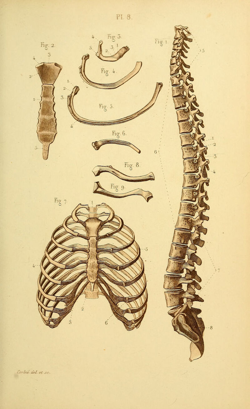 LD-rdie aeC et ^rc .