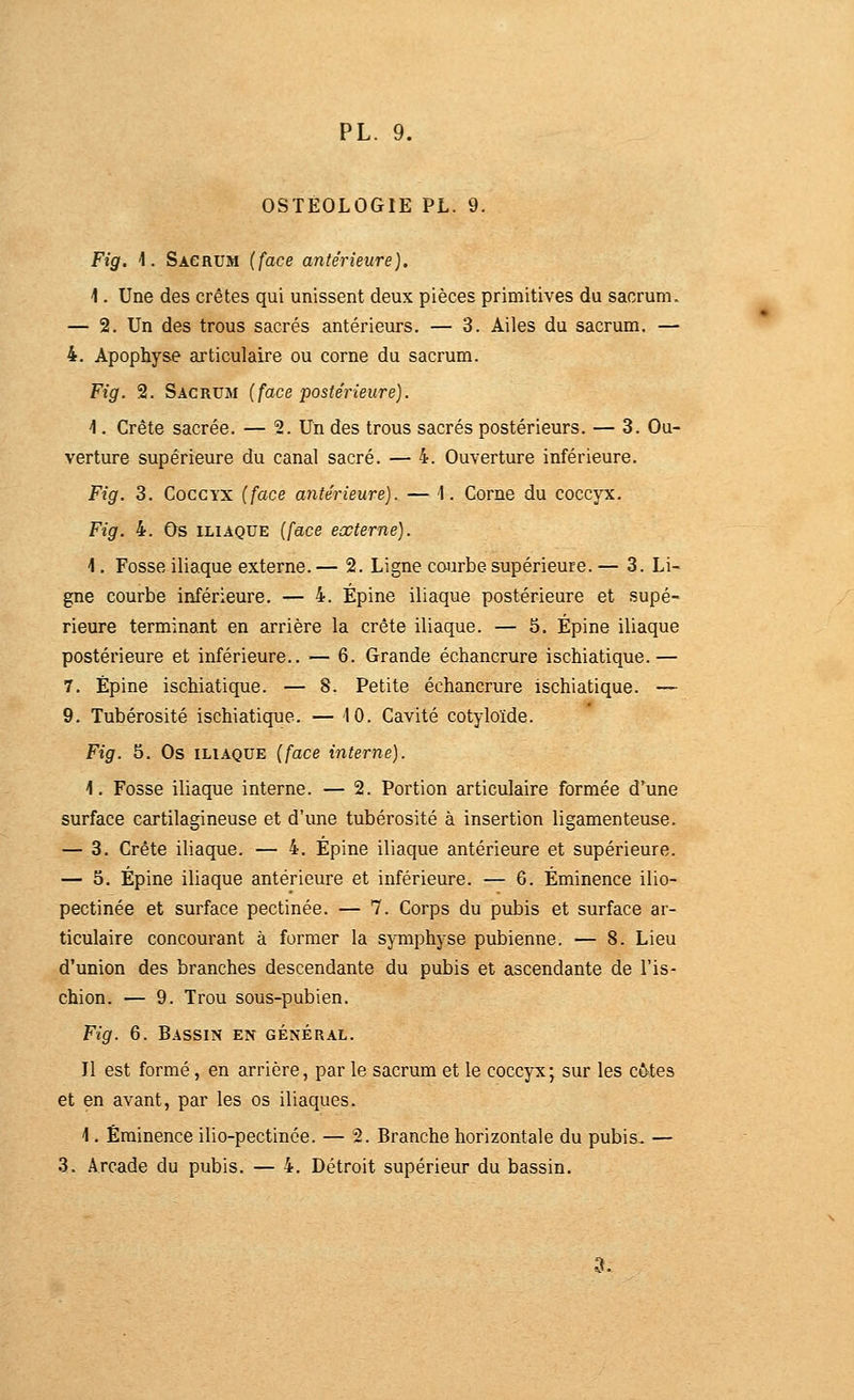 OSTEOLOGIE PL. 9. Fig. 1. Sacrum (face antérieure], \. Une des crêtes qui unissent deux pièces primitives du sacrum. — 2, Un des trous sacrés antérieurs. — 3. Ailes du sacrum. — 4. Apophyse articulaire ou corne du sacrum. Fig. 2. Sacrum (face postérieure). 1. Crête sacrée. — 2. Un des trous sacrés postérieurs. — 3. Ou- verture supérieure du canal sacré. — 4. Ouverture inférieure. Fig. 3. Coccyx {face antérieure). — 1. Corne du coccyx. Fig. 4. Os ILIAQUE {[ace externe). 1. Fosse iliaque externe. — 2. Ligne coJirbe supérieure. — 3. Li- gne courbe inférieure. — 4. Épine iliaque postérieure et supé- rieure terminant en arrière la crête iliaque. — 5. Épine iliaque postérieure et inférieure.. — 6. Grande échancrure ischiatique.— 7. Épine ischiatique. — 8. Petite échancrure ischiatique. — 9. Tubérosité ischiatique. — 10. Cavité cotyloïde. Fig. 5. Os ILIAQUE {face interne). \. Fosse iliaque interne. — 2. Portion articulaire formée d'une surface cartilagineuse et d'une tubérosité à insertion ligamenteuse. — 3. Crête iliaque. — 4. Épine iliaque antérieure et supérieure. — 5. Épine iliaque antérieure et inférieure. — 6. Éminence ilio- pectinée et surface pectinée. — 7. Corps du pubis et surface ar- ticulaire concourant à former la symphyse pubienne. — 8. Lieu d'union des branches descendante du pubis et ascendante de l'is- chion. — 9. Trou sous-pubien. Fig. 6. Bassin en général. Il est formé, en arrière, par le sacrum et le coccyx; sur les coûtes et en avant, par les os iliaques. 1. Éminence ilio-pectinée. — 2. Branche horizontale du pubis, — 3. Arcade du pubis. — 4, Détroit supérieur du bassin. 3.