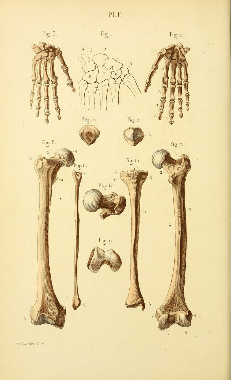 Pin # 9 1®' .Ç I ^10 8 Corhie- deL e/ rc