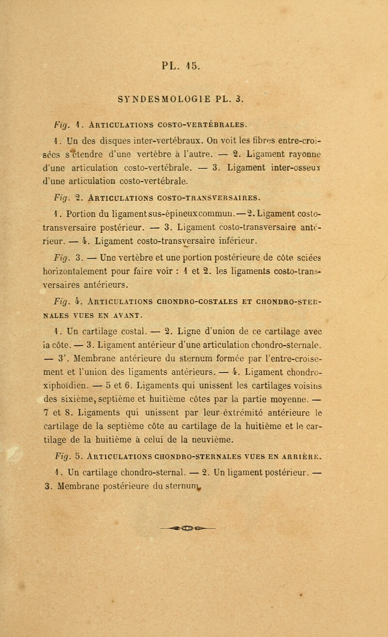 SYNDESMOLOGIE PL. 3. Fig. 1. Articulations costo-vertébrales. 4. Un des disques inter-vertébraux. On voit les fibres entre-croi- sées s'étendre d'une vertèbre à l'autre. — 2. Ligament rayonne d'une articulation costo-vertébrale. — 3. Ligament inter-osseux d'une articulation costo-vertébrale. Fig. 2. Articulations costo-transversaires. 1. Portion du ligamentsus-èpineuxcommun.—2. Ligament costo- transversaire postérieur. — 3. Ligament costo-transversaire anté- rieur. — 4. Ligament costo-transversaire inférieur. Fig. 3. — Une vertèbre et une portion postérieure de côte sciées horizontalement pour faire voir : 4 et 2, les ligaments costo-trans- versaires antérieurs. Fig. 4. Articulations chondro-costales et chondro-ster- NALES vues en AVANT. \. Un cartilage costal. — 2. Ligne d'union de ce cartilage avec la côte. — 3. Ligament antérieur d'une articulation chondro-sternale. — 3'. Membrane antérieure du sternum formée par l'entre-croise- ment et l'union des ligaments antérieurs. — 4. Ligament chondro- xiphoïdien. — 5 et 6. Ligaments qui unissent les cartilages voisins des sixième, septième et huitième côtes par la partie moyenne. — 7 et 8. Ligaments qui unissent par leur extrémité antérieure le cartilage de la septième côte au cartilage de la huitième et le car- tilage de la huitième à celui de la neuvième. Fig. 5. Articulations ghondro-sternales vues en arrièrk. 1. Un cartilage chondro-sternal. — 2. Un ligament postérieur. —