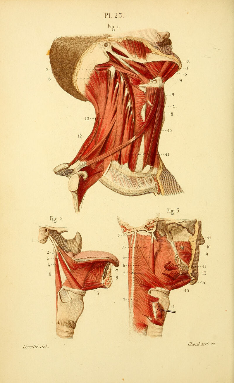 Zéueillé- dcl ■ L7iou6ard se.