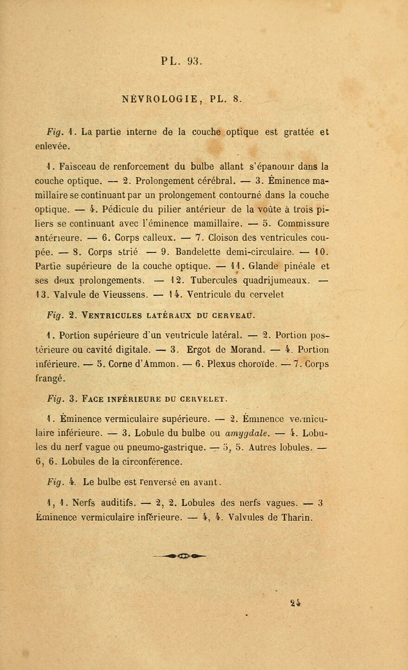 NÊVROLOGIE, PL, 8. Fig. i. La partie interne de la couche optique est grattée et enlevée. •I. Faisceau de renforcement du bulbe allant s'épanouir dans la couche optique. — 2. Prolongement cérébral. — 3. Éminence ma- millaire se continuant par un prolongement contourné dans la couche optique. — 4. Pédicule du pilier antérieur de la voûte à trois pi- liers se continuant avec l'éminence mamillaire. — o. Commissure antérieure. — 6. Corps calleux. — 7. Cloison des ventricules cou- pée. — S. Corps strié. — 9. Bandelette demi-circulaire. — 10. Partie supérieure de la couche optique. — M. Glande pinéale et ses dfiux prolongements. — 12. Tubercules quadrijumeaux. — 13. Valvule de Vieussens. — 14. Ventricule du cervelet Fig. 2. Ventricules latéraux du cerveau. 1. Portion supérieure d'un ventricule latéral. — 2. Portion pos- térieure ou cavité digitale. — 3. Ergot de Morand. — 4. Portion inférieure. — 5. Corne d'Ammon. — 6. Plexus choroïde. — 7. Corps frangé. Fig. 3. Face inférieure du cervelet. 1. Éminence vermiculaire supérieure. — 2. Éminence vcimicu- laire inférieure. — 3. Lobule du bulbe ou amygdale. — 4. Lobu- les du nerf vague ou pneumo-gastrique. — 5, 5. Autres lobules. — 6,6. Lobules de la circonférence. Fig. 4. Le bulbe est renversé en avant. 1,1. Nerfs auditifs. — 2, 2. Lobules des nerfs vagues. — 3 Éminence vermiculaire inférieure. — 4, 4. Valvules de Tharin. S4