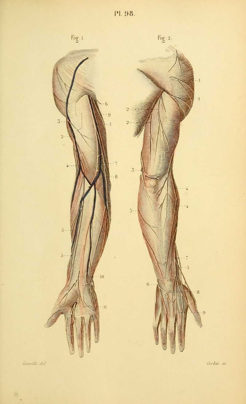 •1.98. FloM. Fia-. 2. f iO /# f Mi :i