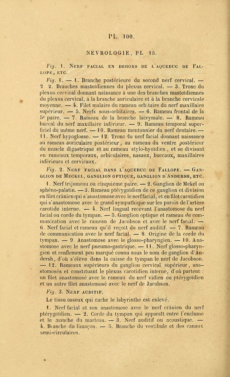 NEVROLOGIE, PL 15. Fig. I. Neuf facial en dehors de l'aqueduc de Fal- LOPE, ETC. Fig. 1. — 1. Branche postérieure du second nerf cervical. — 2 5J. Branches mastoïdiennes du plexus cervical. — 3. Tronc du plexus cervical donnant naissance à une des branches mastoïdiennes du plexus cervical, à la branche auriculaire et à la branche cervicale moyenne. — 4. Filet malaire du rameau orbitaire du nerf maxillaire supérieur. — 5. Nerfs sous-orbitaires. — 6. Rameau frontal de la 5<î paire. — 7. Rameau de la branche lacrymale. — 8, Rameau buccal du nerf maxillaire inférieur. — 9. Rameau temporal super- ficiel du même nerf. — 10. Rameau mentonnier du nerf dentaire.— 1 1. Nerf hypoglosse. — 12. Tronc du nerf facial donnant naissance au rameau auriculaire postérieur, au rameau du ventre postérieur du muscle digastrique et au rameau stylo-hyoïdien , et se divisant en rameaux temporaux, orbiculaires, nasaux, buccaux, maxillaires inférieurs et cervicaux. Fig. 2. Nerf facial dans l'aqueduc de Fallope. — Gan- glion DE MeCKEL, ganglion OPTIQUE, GANGLION d'AnDERSH, ETC. 1. Nerf trijumeau ou cinquième paire. — 2. Ganglion de Mekel ou sphéno-palatin. —3. Rameau ptérygoïdien de ce ganglion et division en filet crânien qui s'anastomose avec le nerf facial, et en filet carotidien qui s'anastomose avec le grand sympathique sur les parois del'artère carotide interne. — 4. Nerf lingual recevant l'anastomose du nerf facial ou corde du tympan. — 5. Ganglion optique et rameau de com- munication avec le rameau de Jacobson et avec le nerf facial. — 6. Nerf facial et rameau qu'il reçoit du nerf auditif. — 7. Rameau de communication avec le nerf facial. — 8. Origine de la corde du tympan. — 9. Anastomose avec le glosso-pharyngien. — 10. Ana- stomose avec le nerf pneumo-gastrique. — 11. Nerf glosso-pharyn- gien et renflement peu marqué connu sous le nom de ganglion d'An- dersh, d'où s'élève dans la caisse du tympan le nerf de Jacobson. — 12. Rameaux supérieurs du ganglion cervical supérieur, ana- stomosés et constituant le plexus carotidien interne, d'où partent : un filet anastomosé avec le rameau du nerf vidien ou ptérygoïdien et un autre filet anastomosé avec le nerf de Jacobson. Fig. 3. Nerf auditif. Le tissu osseux qui cache le labyrinthe est enlevé. 1. Nerf facial et son anastomose avec le nerf crânien du nerf ptérygoïdien. — 2. Corde du tympan qui apparaît entre l'enclume et le manche du marteau. — 3. Nerf auditif ou acoustique. — 4. Blanche du limaçon. — 5. Branche du vestibule et des canaux semi-circulairos.