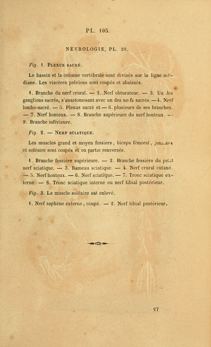 NEVROLOGIE, PL. 20. Fig. 1. Plexus sacré. Le bassin et la colonne vertébrale sont divisés sur la ligne mé- diane. Les viscères pelviens sont coupés et abaissés. 1. Branche du nerf crural. — 2. Nerf obturateur. — 3. Un .les ganglions sacrés, s'anastomosant avec un des neifs sacrés.—4. Nerf lombo-sacré. — o. Plexus sacré et— 6. plusieurs de ses branches. — 7. Nerf honteux. — 8. Branche supérieure du nerf honteux. -• 9. Branche inférieure. Fig. 2. — Nerf sciatique. Les muscles grand et moyen fessiers, biceps fémoral, juiMv.au x et soléaire sont coupés et en partie renversés. 1. Branche fessière supérieure. — 2. Branche fessière du pe^it nerf sciatique. — 3. Rameau sciatique. — 4. Nerf crural cutané. — 5. Nerf honteux. — 6. Nerf sciatique. — 7. Tronc sciatique ex- terne. — 8. Tronc sciatique interne ou nerf tibial postérieur. Fig. 3. Le muscle soléaire est enlevé. i. Nerf saphène externe, coupé. — 2. Nerf tibial postérieur. ^C^4 27