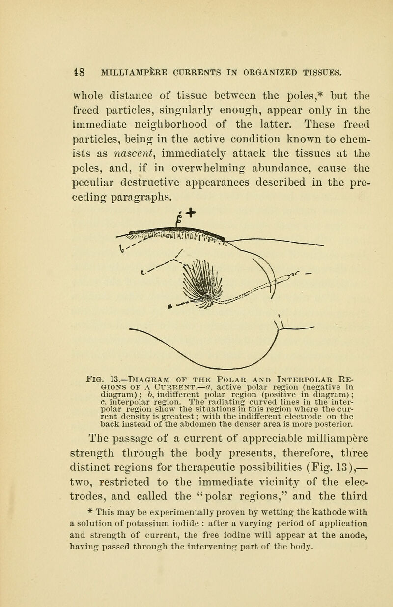 vvhole distance of tissue between the poles,* but the freed particles, singularly enough, appear only in the immediate neighborhood of the latter. These freed particles, being in the active condition known to chem- ists as nascent, immediately attack the tissues at the poles, and, if in overwhelming abundance, cause the peculiar destructive appearances described in the pre- ceding paragraphs. Fig. 13.—Diagram of the Polar and Interpolar Re- gions of a Current.—a, active polar region (negative in diagram); 6, indifferent polar region (positive in diagram); c, interpolar region. The radiating curved lines in the inter- polar region show the situations in this region where the cur- rent density is greatest; with the indifferent electrode on the hack instead of the abdomen the denser area is more posterior. The passage of a current of appreciable milliampere strength through the body presents, therefore, three distinct regions for therapeutic possibilities (Fig. 13),— two, restricted to the immediate vicinity of the elec- trodes, and called the polar regions, and the third * This may be experimentally proven by wetting the kathode with a solution of potassium iodide : after a varying period of application, and strength of current, the free iodine will appear at the anode, having passed through the intervening part of the body.