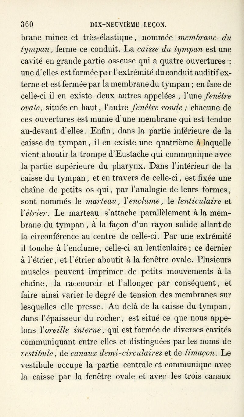 brane mince et très-élastique, nommée membrane du tympan, ferme ce conduit. La caisse du tympan est une cavité en grande partie osseuse qui a quatre ouvertures : une d'elles est formée par l'extrémité du conduit auditif ex- terne et est fermée par la membrane du tympan ; en face de celle-ci il en existe deux autres appelées , Ymwq fenêtre ovale, située en haut, l'autre/ene^re ronde ; chacune de ces ouvertures est munie d'une membrane qui est tendue au-devant d'elles. Enfin, dans la partie inférieure de la caisse du tympan, il en existe une quatrième à laquelle vient aboutir la trompe d'Eustache qui communique avec la partie supérieure du pharynx. Dans l'intérieur de la caisse du tympan, et en travers de celle-ci, est fixée une chaîne de petits os qui, par l'analogie de leurs formes, sont nommés le marteau, Y enclume, le lenticulaire et Yéirier. Le marteau s'attache parallèlement à la mem- brane du tympan, à la façon d'un rayon solide allant de la circonférence au centre de celle-ci. Par une extrémité il touche à l'enclume, celle-ci au lenticulaire; ce dernier à l'étrier, et l'étrier aboutit à la fenêtre ovale. Plusieurs muscles peuvent imprimer de petits mouvements à la chaîne, la raccourcir et l'allonger par conséquent, et faire ainsi varier le degré de tension des membranes sur lesquelles elle presse. Au delà de la caisse du tympan, dans l'épaisseur du rocher, est situé ce que nous appe- lons Y oreille interne, qui est formée de diverses cavités communiquant entre elles et distinguées par les noms de vestibule, de canaux demi-circulaires et de limaçon. Le vestibule occupe la partie centrale et communique avec la caisse par la fenêtre ovale et avec les trois canaux