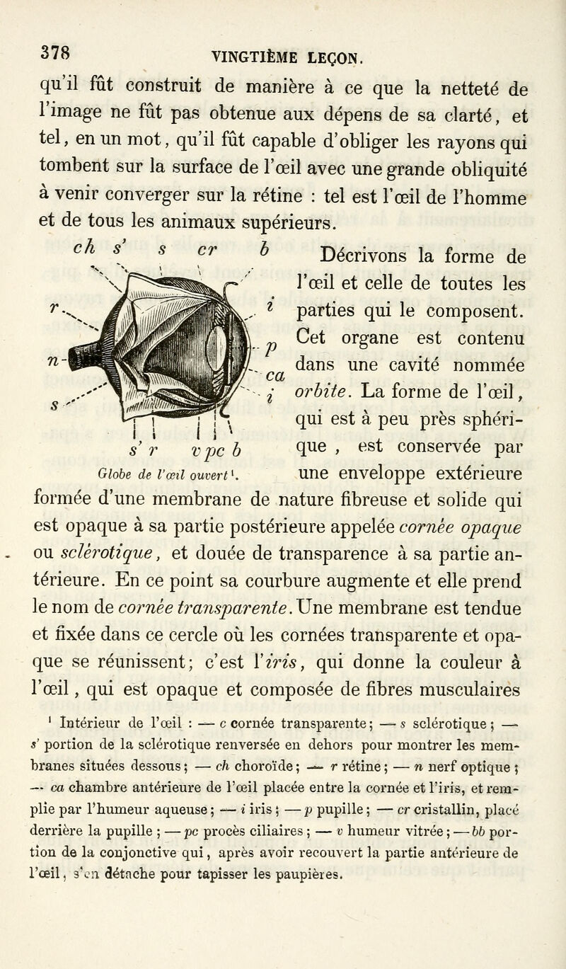 eh cr n- 278 VINGTIÈME LEÇON. qu'il fût construit de manière à ce que la netteté de l'image ne fût pas obtenue aux dépens de sa clarté, et tel, en un mot, qu'il fût capable d'obliger les rayons qui tombent sur la surface de l'œil avec une grande obliquité à venir converger sur la rétine : tel est l'œil de l'homme et de tous les animaux supérieurs. Décrivons la forme de l'œil et celle de toutes les parties qui le composent. Cet organe est contenu dans une cavité nommée orbite. La forme de l'œil, qui est à peu près sphéri- que , est conservée par une enveloppe extérieure formée d'une membrane de nature fibreuse et solide qui est opaque à sa partie postérieure appelée cornée opaque ou sclérotique, et douée de transparence à sa partie an- térieure. En ce point sa courbure augmente et elle prend le nom de cornée transparente.JJne membrane est tendue et fixée dans ce cercle où les cornées transparente et opa- que se réunissent; c'est ïiris, qui donne la couleur à l'œil, qui est opaque et composée de fibres musculaires ' Intérieur de l'œil : — c cornée transparente ; — s sclérotique ; ^ s' portion de la sclérotique renversée en dehors pour montrer les mem- branes situées dessous ; — ch choroïde ; — r rétine ; — n nerf optique ; — ca chambre antérieure de l'œil placée entre la cornée et l'iris, et rem- plie par l'humeur aqueuse ; — i iris ; —2^ pupille ; — cr cristallin, placé derrière la pupille ; — pc procès ciliaires ; — v humeur vitrée ; — bb por- tion de la conjonctive qui, après avoir recouvert la partie antérieure de l'œil, s'uMi détfiche pour tapisser les paupières. S r vpc b Globe de l'œil ouvert^.