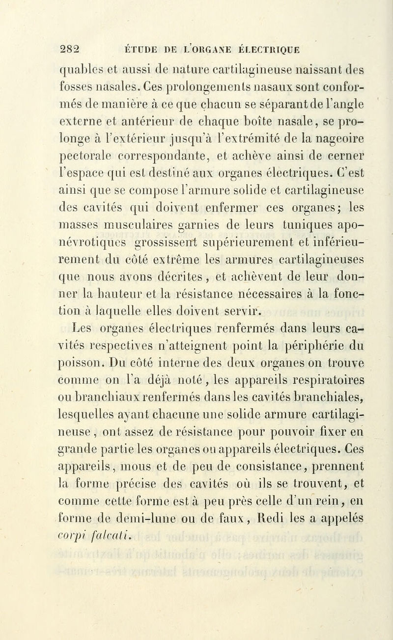 quables et aussi de nature cartilagineuse naissant des fosses nasales. Ces prolongements nasaux sont confor- més de manière à ce que chacun se séparant de l'angle externe et antérieur de chaque boîte nasale, se pro- longe à l'extérieur jusqu'à l'extrémité de la nageoire pectorale correspondante, et achève ainsi de cerner l'espace qui est destiné aux organes électriques. C'est ainsi que se compose l'armure solide et cartilagineuse des cavités qui doivent enfermer ces organes; les masses musculaires garnies de leurs tuniques apo- névrotiqucs grossissent supérieurement et inférieu- rement du côté extrême les armures cartilagineuses que nous avons décrites, et achèvent de leur don- ner la hauteur et la résistance nécessaires à la fonc- tion à laquelle elles doivent servir. Les organes électriques renfermés dans leurs ca- vités respectives n'atteignent point la périphérie du poisson. Du côté interne des deux organes on trouve comme on l'a déjà noté, les appareils respiratoires ou branchiaux renfermés dans les cavités branchiales, lesquelles ayant chacune une solide armure cartilagi- neuse , ont assez de résistance pour pouvoir fixer en grande partie les organes ou appareils électriques. Ces appareils, mous et de peu de consistance, prennent la forme précise des cavités où ils se trouvent, et comme cette forme est à peu près celle d'un rein, en forme de demi-lune ou de faux, Redi les a appelés corpi falcati.