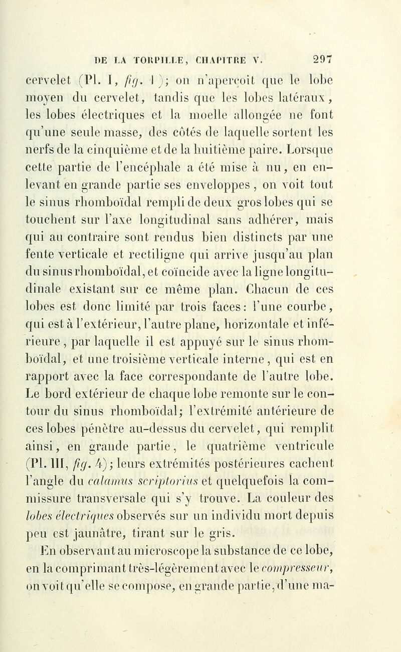 cervelet (PI. I, fig. I); on n'aperçoit que le lobe moyen du cervelet, tandis que les lobes latéraux, les lobes électriques et la moelle allongée ne font qu'une seule masse, des côtés de laquelle sortent les nerfs de la cinquième et de la huitième paire. Lorsque cette partie de l'encéphale a été mise à nu, en en- levant en grande partie ses enveloppes , on voit tout le sinus rhomboïdal rempli de deux gros lobes qui se touchent sur l'axe longitudinal sans adhérer, mais qui au contraire sont rendus bien distincts par une fente verticale et rectiligne qui arrive jusqu'au plan du sinus rhomboïdal, et coïncide avec la ligne longitu- dinale existant sur ce même plan. Chacun de ces lobes est donc limité par trois faces : l'une courbe, qui est à l'extérieur, l'autre plane, horizontale et infé- rieure , par laquelle il est appuyé sur le sinus rhom- boïdal, et une troisième verticale interne, qui est en rapport avec la face correspondante de l'autre lobe. Le bord extérieur de chaque lobe remonte sur le con- tour du sinus rhomboïdal; l'extrémité antérieure de ces lobes pénètre au-dessus du cervelet, qui remplit ainsi, en grande partie, le quatrième ventricule (PI. III, fig. A); leurs extrémités postérieures cachent l'angle du calamus scriptorius et quelquefois la com- missure transversale qui s'y trouve. La couleur des lobes électriques observés sur un individu mort depuis peu est jaunâtre, tirant sur le gris. En observant au microscope la substance de ce lobe, en la comprimant très-légèrement avec le compresseur, on voit qu'elle se compose, en grande partie, d'une ma-