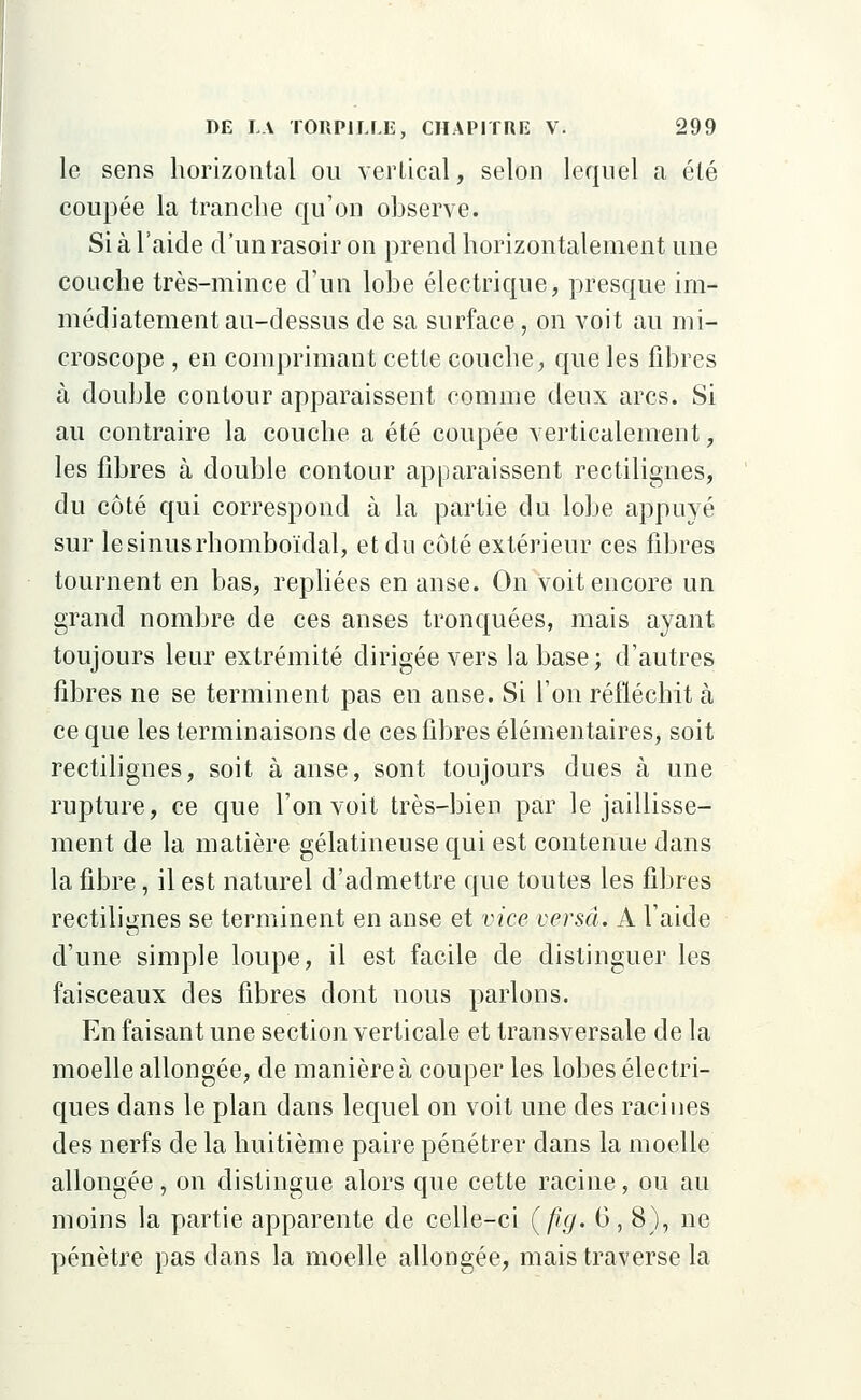 le sens horizontal on vertical, selon lequel a été coupée la tranche qu'on observe. Si à l'aide d'un rasoir on prend horizontalement une couche très-mince d'un lobe électrique, presque im- médiatement au-dessus de sa surface, on voit au mi- croscope , en comprimant cette couche, que les fibres à double contour apparaissent comme deux arcs. Si au contraire la couche a été coupée verticalement, les fibres à double contour apparaissent rectilignes, du côté qui correspond à la partie du lobe appuyé sur le sinus rhomboïdal, et du côté extérieur ces fibres tournent en bas, repliées en anse. On voit encore un grand nombre de ces anses tronquées, mais ayant toujours leur extrémité dirigée vers la base; d'autres fibres ne se terminent pas en anse. Si l'on réfléchit à ce que les terminaisons de ces fibres élémentaires, soit rectilignes, soit à anse, sont toujours dues à une rupture, ce que l'on voit très-bien par le jaillisse- ment de la matière gélatineuse qui est contenue dans la fibre, il est naturel d'admettre que toutes les fibres rectilignes se terminent en anse et vice versa. A l'aide d'une simple loupe, il est facile de distinguer les faisceaux des fibres dont nous parlons. En faisant une section verticale et transversale de la moelle allongée, de manière à couper les lobes électri- ques dans le plan dans lequel on voit une des racines des nerfs de la huitième paire pénétrer dans la moelle allongée, on distingue alors que cette racine, ou au moins la partie apparente de celle-ci (fig. 6, 8), ne pénètre pas dans la moelle allongée, mais traverse la