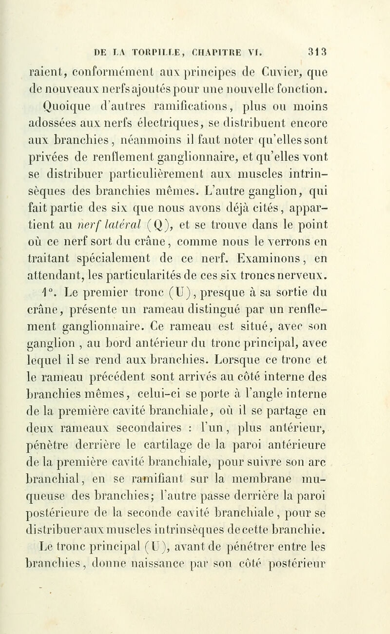 raient, conformément aux principes de Cuvicr, que de nouveaux nerfs ajoutés pour une nouvelle fonction. Quoique d'autres ramifications, plus ou moins adossées aux nerfs électriques, se distribuent encore aux branchies, néanmoins il faut noter qu'elles sont privées de renflement ganglionnaire, et qu'elles vont se distribuer particulièrement aux muscles intrin- sèques des branchies mêmes. L'autre ganglion, qui fait partie des six que nous avons déjà cités, appar- tient au nerf latéral (Q), et se trouve dans le point où ce nerf sort du crâne, comme nous le verrons en traitant spécialement de ce nerf. Examinons, en attendant, les particularités de ces six troncs nerveux. 1°. Le premier tronc (U), presque à sa sortie du crâne, présente un rameau distingué par un renfle- ment ganglionnaire. Ce rameau est situé, avec son ganglion , au bord antérieur du tronc principal, avec lequel il se rend aux branchies. Lorsque ce tronc et le rameau précédent sont arrivés au côté interne des branchies mêmes, celui-ci se porte à l'angle interne de la première cavité branchiale, où il se partage en deux rameaux secondaires : l'un, plus antérieur, pénètre derrière le cartilage de la paroi antérieure de la première cavité branchiale, pour suivre son arc branchial, en se ramifiant sur la membrane mu- queuse des branchies; l'autre passe derrière la paroi postérieure de la seconde cavité branchiale, pour se distribuer aux muscles intrinsèques de cette branchie. Le tronc principal (U), avant de pénétrer entre les branchies, donne naissance par son côté postérieur