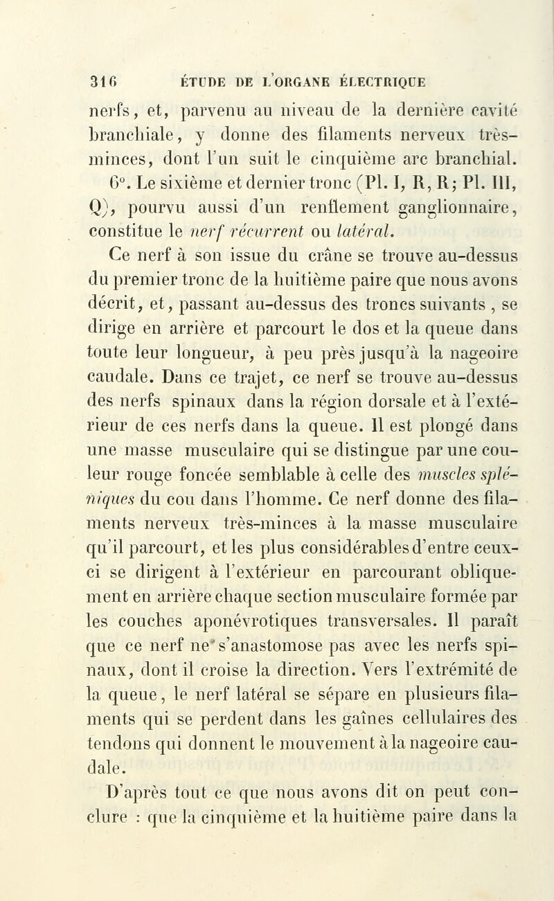 nerfs, et, parvenu au niveau de la dernière cavité branchiale, y donne des filaments nerveux très- minces, dont l'un suit le cinquième arc branchial. G0. Le sixième et dernier tronc (PI. I, R, R; PL III, Q), pourvu aussi d'un renflement ganglionnaire, constitue le nerf récurrent ou latéral. Ce nerf à son issue du crâne se trouve au-dessus du premier tronc de la huitième paire que nous avons décrit, et, passant au-dessus des troncs suivants , se dirige en arrière et parcourt le dos et la queue dans toute leur longueur, à peu près jusqu'à la nageoire caudale. Dans ce trajet, ce nerf se trouve au-dessus des nerfs spinaux dans la région dorsale et à l'exté- rieur de ces nerfs dans la queue. Il est plongé dans une masse musculaire qui se distingue par une cou- leur rouge foncée semblable à celle des muscles splé- niques du cou dans l'homme. Ce nerf donne des fila- ments nerveux très-minces à la masse musculaire qu'il parcourt, et les plus considérables d'entre ceux- ci se dirigent à l'extérieur en parcourant oblique- ment en arrière chaque section musculaire formée par les couches aponévrotiques transversales. Il paraît que ce nerf ne s'anastomose pas avec les nerfs spi- naux, dont il croise la direction. Vers l'extrémité de la queue, le nerf latéral se sépare en plusieurs fila- ments qui se perdent dans les gaines cellulaires des tendons qui donnent le mouvement à la nageoire cau- dale. D'après tout ce que nous avons dit on peut con- clure : que la cinquième et la huitième paire dans la