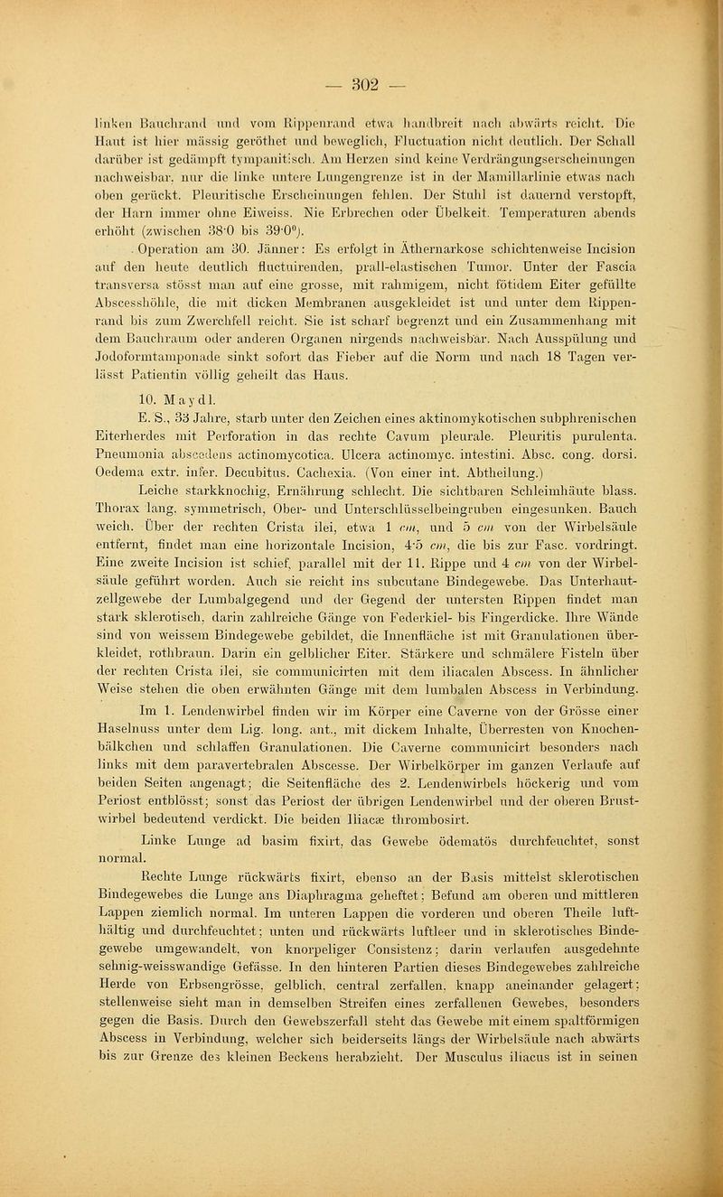 linken Bauchrand und vom Ripponrand etwa handbreit nach ahwiirts reicht. Die Haut ist hier massig geröthet und beweglicli, Fluctuation niclit deutlich. Der Schall darüber ist gedämpft tympanitisch. Am Herzen sind keine Verdrängungserscheinungen nacliweisbar. nur die linke untere Lungengrenze ist in der Maniillarlinie etwas nach oben gerückt. Pleuritische Erscheinungen fehlen. Der Stuhl ist dauernd verstopft, der Harn immer ohne Eiweiss. Nie Erbrechen oder Übelkeit. Temperaturen abends erhöht (zwischen 38-0 bis 39'OOj. - Operation am 30. Jänner: Es erfolgt in Äthernarkose schichtenweise Incision auf den heute deutlich fluctuii-enden, prall-elastischen Tumor. Unter der Fascia transversa stösst man auf eine grosse, mit rahmigem, nicht fötidem Eiter gefüllte Abscesshöhle, die mit dicken Membranen ausgekleidet ist und unter dem Rippen- rand bis zum Zwerchfell reicht. Sie ist scharf begrenzt und ein Zusammenhang mit dem Bauchraum oder anderen Organen nirgends nachweisbar. Nach Aixsspülung und Jodoformtamponade sinkt sofort das Fieber auf die Norm und nach 18 Tagen ver- lässt Patientin völlig geheilt das Haus. 10. Maydl. E. S., 38 Jahre, starb unter den Zeichen eines aktinomykotischen subphrenischen Eiterherdes mit Perforation in das rechte Cavum pleurale. Pleuritis purulenta. Pneumonia abscodciis actinomycotica. Ulcera actinomyc. intestini. Absc. cong. dorsi. Oedema extr. infer. Decubitus. Cachexia. (Von einer int. Abtheilung.) Leiche starkknochig, Ernährung schlecht. Die sichtbaren Schleimhäute blass. Thorax lang, symmetrisch. Ober- und Unterschlüsselbeingruben eingesunken. Bauch weich. Über der rechten Crista ilei, etwa 1 r/u, und 5 cm von der Wirbelsäule entfernt, findet man eine horizontale Incision, 4'5 c/«, die bis zur Fase, vordringt. Eine zweite Incision ist schief, parallel mit der 11. Rippe mid 4 cm. von der Wirbel- säule geführt worden. Auch sie reicht ins subcutane Bindegewebe. Das Unterhaut- zellgewebe der Lumbaigegend und der Gegend der untersten Rippen findet man stark sklerotisch, darin zahlreiche Gänge von Federkiel- bis Fingerdicke. Ihre Wände sind von weissem Bindegewebe gebildet, die Innenfläche ist mit Granulationen über- kleidet, rothbraun. Darin ein gelblicher Eiter. Stäi-kere und schmälere Fisteln über der rechten Crista ilei, sie communicirten mit dem iliacalen Abscess. In ähnlicher Weise stehen die oben erwähnten Gänge mit dem lumbalen Abscess in Verbindung. Im 1. Lendenwirbel finden wir im Körper eine Caverne von der Grösse einer Haselnuss unter dem Lig. long, ant., mit dickem Inhalte, Überresten von Knochen- bäikchen und schlaffen Granulationen. Die Caverne communicirt besonders nach links mit dem paravertebralen Abscesse. Der Wirbelkörper im ganzen Verlaufe auf beiden Seiten angenagt; die Seitenfläche des 2. Lendenwirbels höckerig und vom Periost entblösst; sonst das Periost der übrigen Lendenwirbel und der oberen Brust- wirbel bedeutend verdickt. Die beiden lliacae thrombosirt. Linke Lunge ad basim fixirt, das Gewebe ödematös durchfeuchtet, sonst normal. R,echte Lunge rückwärts fixirt, ebenso an der Basis mittelst sklerotischen Bindegewebes die Lunge ans Diaphragma geheftet; Befund am oberen und mittleren Lappen ziemlich normal. Im unteren Lappen die vorderen und oberen Theile luft- haltig und durchfeuchtet; unten und rückwärts luftleer und in sklerotisches Binde- gewebe umgewandelt, von knorpeliger Consistenz; darin verlaufen ausgedehnte sehnig-weisswandige Gefässe. In den hinteren Partien dieses Bindegewebes zahlreiche Herde von Erbsengrösse, gelblich, central zerfallen, knapp aneinander gelagert; stellenweise sieht man in demselben Streifen eines zerfallenen Gewebes, besonders gegen die Basis. Durch den Gewebszerfall steht das Gewebe mit einem spaltförmigen Abscess in Verbindung, welcher sich beiderseits längs der Wirbelsäule nach abwärts bis zur Grenze des kleinen Beckens herabzieht. Der Musculus iliacus ist in seinen