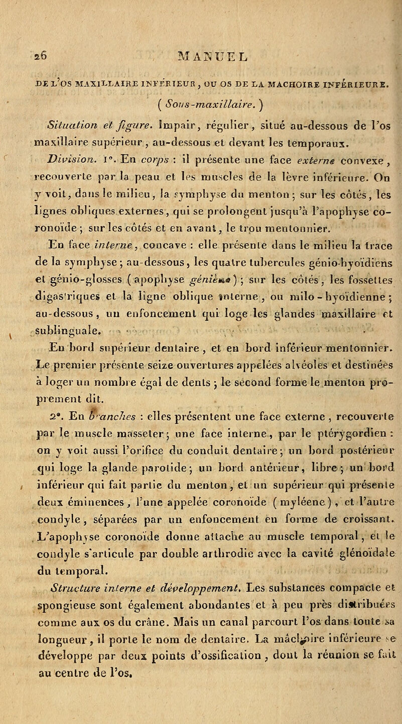 DE l'os MAXH-LAIKE INïERIEUR, OU OS DE X,A MACHOIRE H^FERIEURE. ( Sou S-maxillaire. ) Situation et figure. Impair, régulier, situé au-dessous de l'os maxillaire supérieur, au-dessous et devant les temporaux. Division, i. En corps : il présente une face externe convexe, recouverte par la peau et les muscles de la lèvre inférieure. On y voit, dans le milieu, la symphyse du menton : sur les côtés, les lignes obliques externes, qui se prolongent jusqu'à l'apophjse co- ronoïde ; sur les côtés et en avant, le trou mentounier. En face interne, concave : elle présente dans le milieu la trace de la symplijse ; au-dessous, les quatre tubercules génio-hyoïdicns et génio-glosses (apoplijse génièma) ; sur les côtés, les fossettes digas'riques et la ligne oblique tfnierne , ou milo - hyoïdienne ; au-dessous, un enfoncement qui loge les glandes maxillaire et sublinguale. ■ . En bord supérieur dentaire, et en bord Inférieur mentonnier. Le premier présente seize ouvertures appelées alvéoles et destinées à loger un nombre égal de dents j le second forme le menton pro- prement dit. 2. En o'anches : elles présentent une face externe , recouverte par le muselé raasseter- une face interne, par le plérygordien : on y voit aussi l'orifice du conduit dentaire-, un bord postérieur qui loge la glande parotide ; un bord antérieur, libre-, un bord inférieur qui fait partie du menton, et un supérieur qui présente deux éminences, l'une appelée coronoïde ( myléene), et l'autre . condyle, séparées par un enfoncement eu forme de croissant. . L^apophvse coronoïde donne attache au muscle temporal, ei !e condyle s'articule par double artlirodie avec la cavité glénoïdale du temporal. . Structure interne et dépeloppement. Les substances compacte et spongieuse sont également abondantes et à peu près distribuées comme aux os du crâne. Mais un canal parcourt l'os dans toute sa longueur, il porte le nom de dentaire. La mâcl^ire inférieure y& développe par deux points d'ossification , dont la réunion se fiùt au centre de l'os.