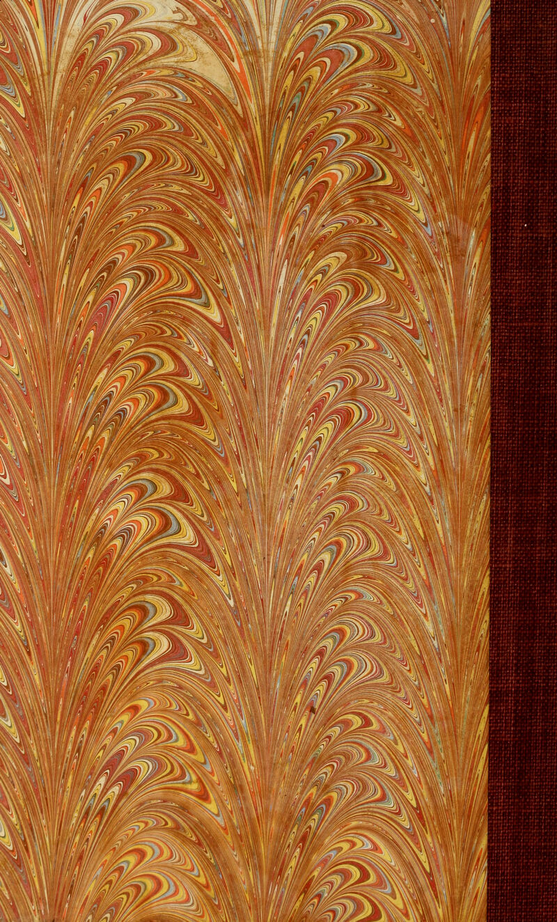 ^r%^ :^'^^m\m!ti W'0:-