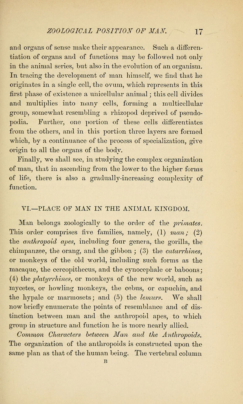 and organs of sense make their appearance. Sucli a differen- tiation of organs and of functions may be followed not only in the animal series, but also in the evolution of an organism. In tracing the development of man himself, we find that he originates in a single cell, the ovum, which represents in this first phase of existence a unicellular animal; this cell divides and multiplies into many cells, forming a multicellular group, somewhat resembling a rhizopod deprived of pseudo- podia. Further, one portion of these cells difierentiates from the others, and in this portion three layers are formed which, by a continuance of the process of specialization, give origin to all the organs of the body. Finally, we shall see, in studying the complex organization of man, that in ascending from the lower to the higher forms of life, there is also a gradually-increasing complexity of function. VI.—PLACE OF MAN IN THE ANIMAL KINGDOM. Man belongs zoologically to the order of the 2^^'^'nates. This order comprises five families, namely, (1) mem; (2) the anthro2)oid apes, including four genera, the gorilla, the chimpanzee, the orang, and the gibbon ; (3) the catarrhines, or monkeys of the old world, including such forms as the macaque, the cercopithecus, and the cynocephale or baboons; (4) the platyrrhines, or monkeys of the new world, such as mycetes, or howling monkeys, the cebus, or capuchin, and the hypale or marmosets; and (5) the lemurs. We shall now briefly enumerate the points of resemblance and of dis- tinction between man and the anthropoid apes, to which group in structure and function he is more nearly allied. Common Characters between Man and the Anthropoids. The organization of the anthropoids is constructed upon the same plan as that of the human being. The vertebral column