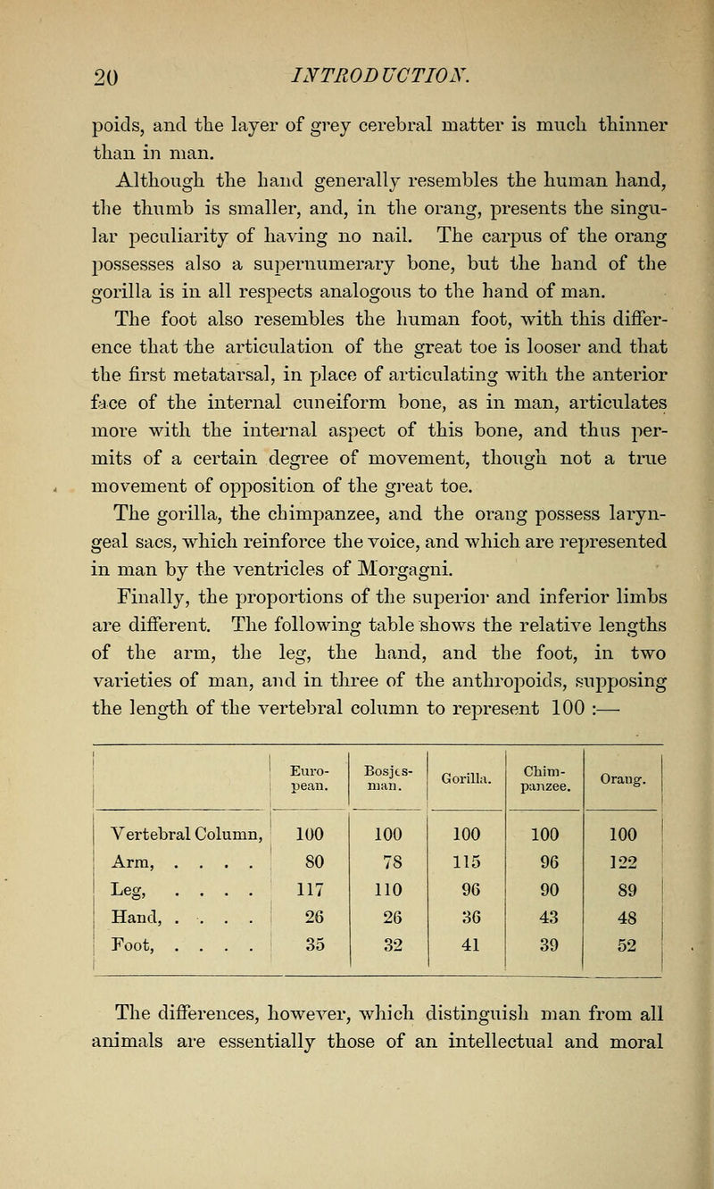 poicls, and the layer of grey cerebral matter is much thinner than in man. Although the hand generally resembles the human hand, the thumb is smaller, and, in the orang, presents the singu- lar peculiarity of having no nail. The carpus of the orang possesses also a supernumerary bone, but the hand of the gorilla is in all respects analogous to the hand of man. The foot also resembles the human foot, with this differ- ence that the articulation of the great toe is looser and that the first metatarsal, in place of articulating with the anterior face of the internal cuneiform bone, as in man, articulates more with the internal aspect of this bone, and thus per- mits of a certain degree of movement, though not a true movement of opposition of the great toe. The gorilla, the chimpanzee, and the orang possess laryn- geal sacs, which reinforce the voice, and which are represented in man by the ventricles of Morgagni. Finally, the proportions of the superior and inferior limbs are different. The following table shows the relative lengths of the arm, the leg, the hand, and the foot, in two varieties of man, and in three of the anthrojooids, supposing the length of the vertebral column to represent 100 :— Euro- pean. Bosjts- nian. Gorilla. Chim- panzee. Orang. Vertebral Column, 100 100 100 100 100 Arm, .... 80 78 115 96 122 Leg, .... 117 110 96 90 89 Hand, .... 26 26 36 43 48 Foot, .... 35 32 41 39 .2 1 The differences, however, which distinguish man from all animals are essentially those of an intellectual and moral