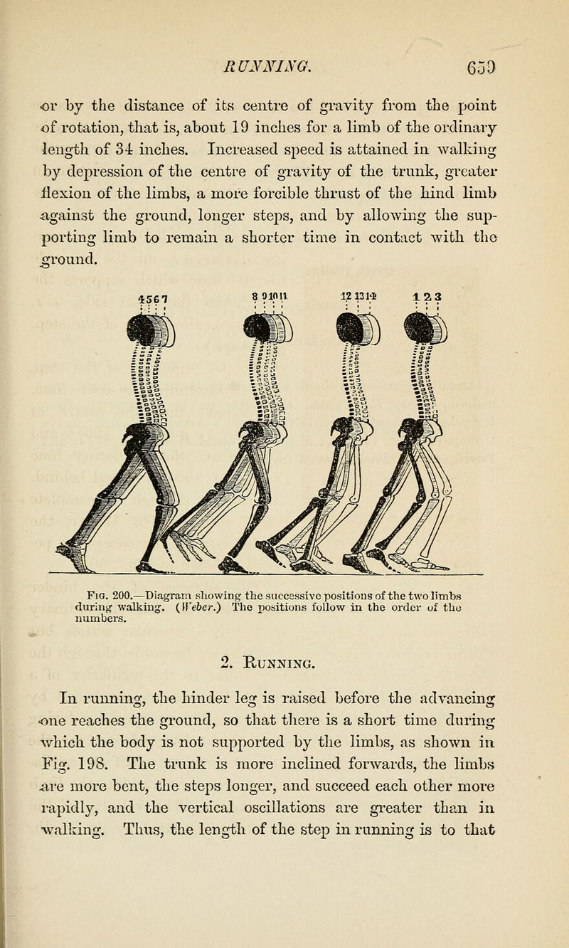 RUNNING. 65a or by the distance of its centre of gravity from the point of rotation, that is, about 19 inches for a limb of the ordinary length of 34: inches. Increased speed is attained in walking by depression of the centre of gravity of the trunk, greater ilexion of the limbs, a more forcible thrust of the hind limb against the ground, longer steps, and by allowing the sup- porting limb to remain a shorter time in contact with, the ground. 4561 1213M! 123 tt) • Fig. 200.—Diagram showing the successive positions of the two limbs during walking. {Weber.) The positions follow in the order of the numbers. 2. Running, In running, the hinder leg is raised before the advancing one reaches the ground, so that tliere is a short time during v/hich the body is not supported by the limbs, as shown in Fig. 198. The trunk is more inclined forwards, the limbs ^re more bent, the steps longer, and succeed each, other more i-apidly, and the vertical oscillations are greater than in walking. Thus, tbe length of the step in running is to that