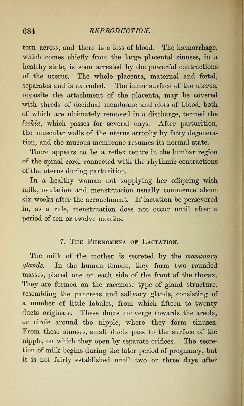 torn across, and there is a loss of blood. The haemorrhage, which comes chiefly from the large placental sinuses, in a healthy state, is soon arrested by the powerful contractions of the uterus. The whole placenta, maternal and foetal, separates and is extruded. The inner surface of the uterus, opposite the attachment of the placenta, may be covered with shreds of decidual membrane and clots of blood, both of which are ultimately removed in a discharge, termed the lochia, which passes for several days. After parturition, the muscular walls of the uterus atrophy by fatty degenera- tion, and the mucous membrane resLimes its normal state. There appears to be a reflex centre in the lumbar region of the spinal cord, connected with the rhythmic contractions of the uterus during parturition. In a healthy woman not supplying her oflspring with milk, ovulation and menstruation usually commence about six weeks after the accouchment. If lactation be persevered in, as a rule, menstruation does not occur until after a period of ten or twelve months. 7. The Phenomena op Lactation. The milk of the mother is secreted by the mammary glands. In the human female, they form two rounded masses, placed one on each side of the front of the thorax. They are formed on the racemose type of gland structure, resembling the pancreas and salivary glands, consisting of a number of little lobules, from which fifteen to twenty ducts originate. These ducts converge towards the areola, or circle around the nipple, where they form sinuses. From these sinuses, small ducts pass to the surface of the nipple, on which they open by separate orifices. The secre- tion of milk begins during the later period of pregnancy, but it is not fairly established until two or three days after