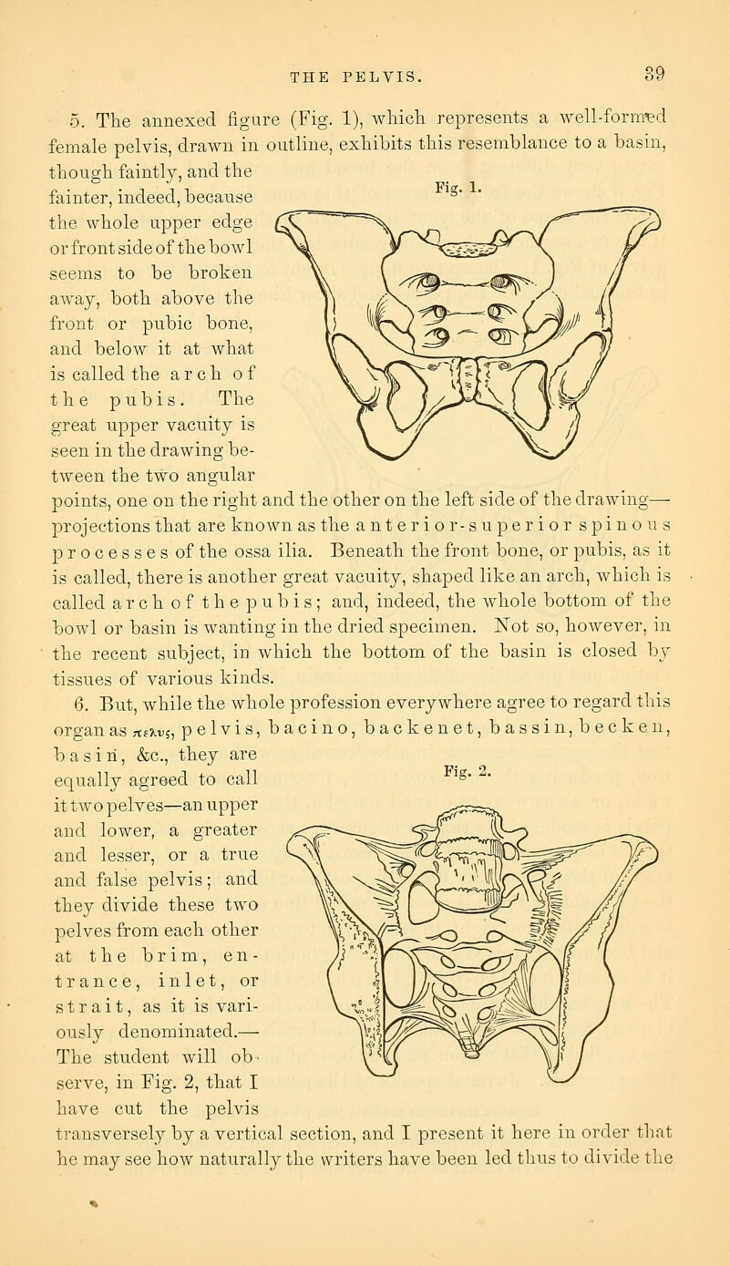 Fig. 1. 5. The annexed figure (Fig. 1), wliich represents a well-formed female pelvis, drawn in outline, exhibits this resemblance to a basin, though faintly, and the fainter, indeed, because the whole upper edge or front side of the bowl seems to be broken away, both above the front or pnbic bone, and below it at what is called the arch of the pubis. The great upper vacuity is seen in the drawing be- tween the two angnlar points, one on the right and the other on the left side of the drawing— projections that are known as the anterior-superior spinous processes of the ossa ilia. Beneath the front bone, or pubis, as it is called, there is another great vacuity, shaped like an arch, which is called archofthepubis; and, indeed, the whole bottom of the bowl or basin is wanting in the dried specimen. Not so, however, in the recent subject, in which the bottom of the basin is closed hy tissues of various kinds. 6. But, while the whole profession everywhere agree to regard this organ as Ttixv?^ pelvis, bacino, backenet, bassin,becken, basin, &c., they are equally agreed to call it two pelves—an upper and lower, a greater and lesser, or a true and false pelvis; and they divide these two pelves from each other at the brim, en- trance, inlet, or strait, as it is vari- ously denominated.—• The student will ob' serve, in Fig. 2, that I have cut the pelvis transversely by a vertical section, and I present it here in order that he may see how naturally the writers have been led thus to divide the Fig. 2.