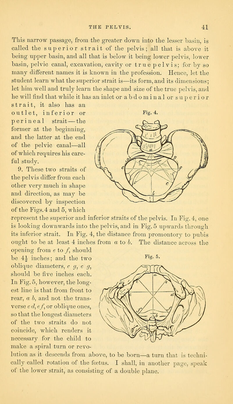 Fig. 4. This narrow passage, from the greater down into the lesser basin, is called the superior strait of the pelvis ; all that is above it being upper basin, and all that is below it being lower pelvis, lower basin,- pelvic canal, excavation, cavity or t r u e p e 1 v i s; for by so many different names it is known in the profession. Hence, let the student learn what the superior strait is—its form, and its dimensions; let him well and truly learn the shape and size of the true pelvis, and he will find that while it has an inlet or abdominal or superior strait, it also has an outlet, inferior or perineal strait — the former at the beginning, and the latter at the end of the pelvic canal—all of which requires his care- ful study. 9. These two straits of the pelvis differ from each other very much in shape and direction, as may be discovered by inspection of the Figs. 4 and 6, which represent the superior and inferior straits of the pelvis. In Fig. 4, one is looking downwards into the pelvis, and in Fig. 5 upwards through its inferior strait. In Fig. 4, the distance from promontory to pubis ought to be at least 4 inches from a to h. The distance across the opening from e to /, should be 4|- inches; and the two -^^S ^ oblique diameters, c g, c g, should be five inches each. In Fig. 5, however, the long- est line is that from front to rear, a 6, and not the trans- verse c d, ef, or oblique ones, so that the longest diameters of the two straits do not coincide, which renders it necessary for the child to make a spiral turn or revo- lution as it descends from above, to be born—a turn that is techni- cally called rotation of the fcetus. I shall, in another page, speak of the lower strait, as consisting of a double plane.