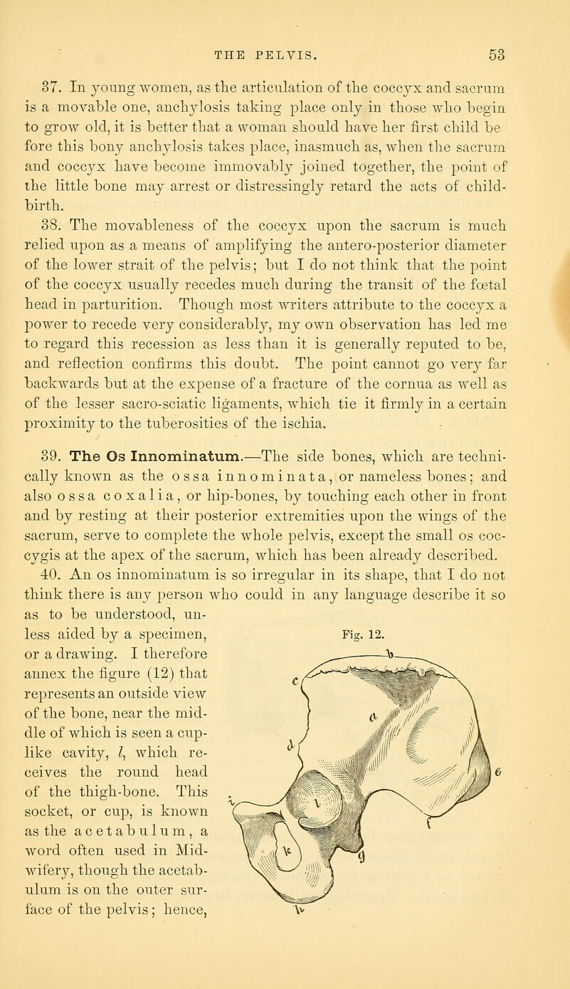 37. In young women, as the articulation of the coccyx and sacrum is a movable one, anchylosis taking place only in those who begin to grow old, it is better that a woman should have her first child be fore this bony anchylosis takes place, inasmuch as, when the sacrum and coccyx have become immovably joined together, the point of the little bone may arrest or distressingly retard the acts of child- birth. 38. The movableness of the coccyx upon the sacrum is much relied upon as a means of amplifying the antero-posterior diameter of the lower strait of the pelvis; but I do not think that the point of the coccyx usually recedes much during the transit of the foetal head in parturition. Though most writers attribute to the coccyx a power to recede very considerably, my own observation has led me to regard this recession as less than it is generally reputed to be, and reflection confirms this doubt. The point cannot go very far backwards but at the expense of a fracture of the cornua as well as of the lesser sacro-sciatic ligaments, which tie it firmly in a certain proximity to the tuberosities of the ischia. 39. The Os Innominatum.—The side bones, which are techni- cally known as the ossa innominata, or nameless bones; and also ossa coxalia, or hip-bones, by touching each other in front and by resting at their posterior extremities upon the wings of the sacrum, serve to complete the whole pelvis, except the small os coc- cygis at the apex of the sacrum, which has been already described. 40. An OS innominatum is so irregular in its shape, that I do not think there is any person who could in any language describe it so as to be understood, un- less aided by a specimen, or a drawing. I therefore annex the figure (12) that represents an outside view of the bone, near the mid- dle of which is seen a cup- like cavity, ?, which re- ceives the round head of the thigh-bone. This socket, or cup, is known as the acetabulum, a word often used in Mid- wifery, though the acetab- ulum is on the outer sur- face of the pelvis ; hence, Fm. 12.