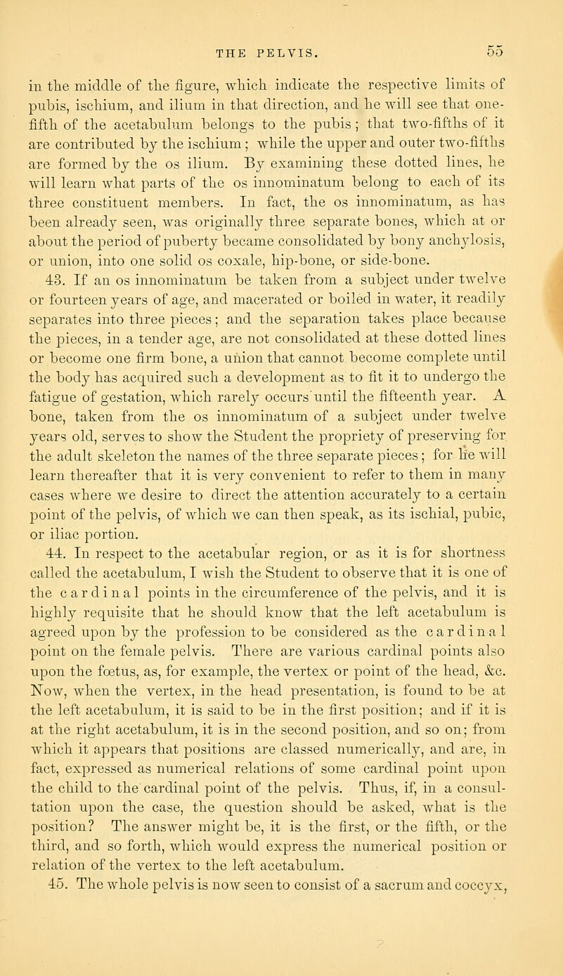 in tlie middle of tlie figure, wliich indicate tlie respective limits of pubis, iscliium, and ilium in that direction, and he will see that one- fifth of the acetabulum belongs to the pubis ; that two-fifths of it are contributed by the ischium; while the upper and outer two-fifths are formed by the os ilium. By examining these dotted lines, he will learn what parts of the os innominatum belong to each of its three constituent members. In fact, the os innominatum, as has been already seen, was originally three separate bones, which at or about the period of puberty became consolidated by bony anchylosis, or union, into one solid os coxale, hip-bone, or side-bone. 43. If an os innominatum be taken from a subject under twelve or fourteen years of age, and macerated or boiled in water, it readily separates into three pieces; and the separation takes place because the pieces, in a tender age, are not consolidated at these dotted lines or become one firm bone, a union that cannot become complete until the body has acquired such a development as to fit it to undergo the fatigue of gestation, which rarely occurs'until the fifteenth year. A bone, taken from the os innominatum of a subject under twelve years old, serves to show the Student the propriety of preserving for the adult skeleton the names of the three separate pieces ; for lie will learn thereafter that it is very convenient to refer to them in many cases where we desire to direct the attention accurately to a certain point of the pelvis, of which we can then speak, as its ischial, pubic, or iliac portion. 44. In respect to the acetabular region, or as it is for shortness called the acetabulum, I wish the Student to observe that it is one of the cardinal points in the circumference of the pelvis, and it is highly requisite that he should know that the left acetabulum is agreed upon by the profession to be considered as the cardinal point on the female pelvis. There are various cardinal points also upon the foetus, as, for example, the vertex or point of the head, &c. Now, when the vertex, in the head presentation, is found to be at the left acetabulum, it is said to be in the first position; and if it is at the right acetabulum, it is in the second position, and so on; from which it appears that positions are classed numerically, and are, in fact, expressed as numerical relations of some cardinal point upon the child to the cardinal point of the pelvis. Thus, if, in a consul- tation upon the case, the question should be asked, what is the position? The answer might be, it is the first, or the fifth, or the third, and so forth, which would express the numerical position or relation of the vertex to the left acetabulum. 45. The whole pelvis is now seen to consist of a sacrum and coccyx,