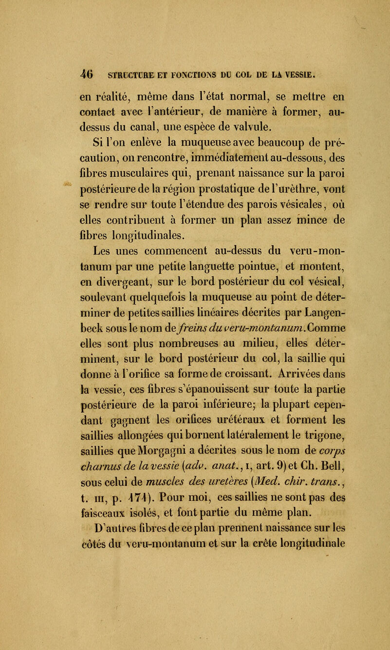 en réalité, même dans l'état normal, se mettre en contact avec l'antérieur, de manière à former, au- dessus du canal, une espèce de valvule. Si l'on enlève la muqueuse avec beaucoup de pré- caution, on rencontre, immédiatement au-dessous, des fibres musculaires qui, prenant naissance sur la paroi postérieure de la région prostatique del'urèthre, vont se rendre sur toute l'étendue des parois vésicales, où elles contribuent à former un plan assez mince de fibres longitudinales. Les unes commencent au-dessus du veru-mon- tanum par une petite languette pointue, et montent, en divergeant, sur le bord postérieur du col vésical, soulevant quelquefois la muqueuse au point de déter- miner de petites saillies linéaires décrites par Langen- beck sous le nom de freins du veru-montanum. Comme elles sont plus nombreuses au milieu, elles déter- minent, sur le bord postérieur du col, la saillie qui donne à l'orifice sa forme de croissant. Arrivées dans la vessie, ces fibres s'épanouissent sur toute la partie postérieure de la paroi inférieure; la plupart cepen- dant gagnent les orifices urétéraux et forment les saillies allongées qui bornent latéralement le trigone, saillies que Morgagni a décrites sous le nom de corps charnus de la vessie {adv. anat., i, art. 9) et Ch. Bell, sous celui de muscles des uretères (Med. chir. trans., t. m, p. \7\). Pour moi, ces saillies ne sont pas des faisceaux isolés, et font partie du môme plan. D'autres fibres de ce plan prennent naissance sur les côtés du veru-montanum et sur la crête longitudinale