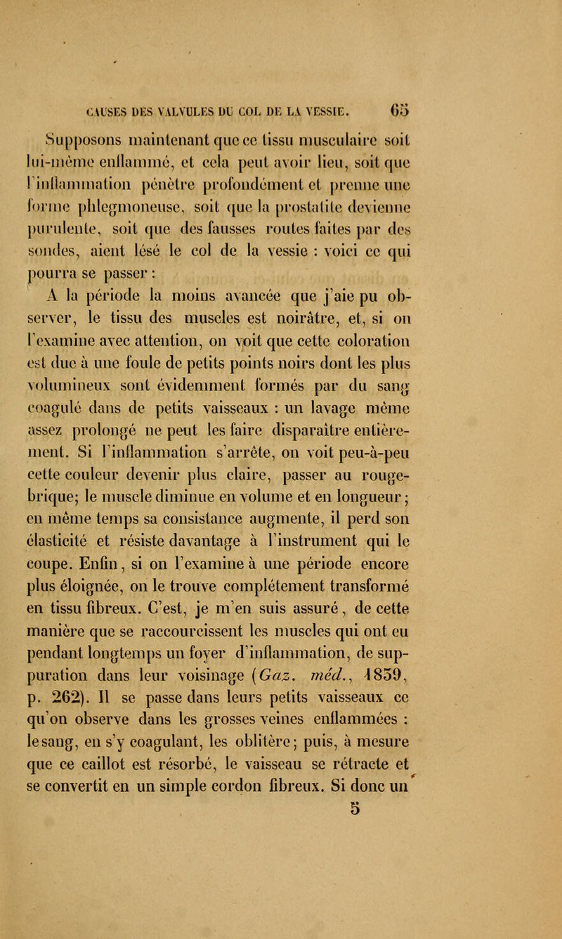 Supposons maintenant que ce tissu musculaire soit lui-même enflammé, et cela peut avoir lieu, soit que rinllammation pénètre profondément et prenne une forme phlegmoneuse, soit que la pi-oslalile devienne purulente, soit que des fausses routes faites par des sondes, aient lésé le col de la vessie : voici ce qui pourra se passer : A la période la moins avancée que j'aie pu ob- server, le tissu des muscles est noirâtre, et, si on l'examine avec attention, on voit que cette coloration est due à une foule de petits points noirs dont les plus volumineux sont évidemment formés par du sang coagulé dans de petits vaisseaux : un lavage même assez prolongé ne peut les faire disparaître entière- ment. Si linflammation s'arrête, on voit peu-à-peu cette couleur devenir plus claire, passer au rouge- brique; le muscle diminue en volume et en longueur; en même temps sa consistance augmente, il perd son élasticité et résiste davantage à l'instrument qui le coupe. Enfin, si on l'examine à une période encore plus éloignée, on le trouve complètement transformé en tissu fibreux. C'est, je m'en suis assuré, de cette manière que se raccourcissent les muscles qui ont eu pendant longtemps un foyer d'inflammation, de sup- puration dans leur voisinage (Gaz. méd., 4859, p. 262). Il se passe dans leurs petits vaisseaux ce qu'on observe dans les grosses veines enflammées : lesang, en s'y coagulant, les oblitère; puis, à mesure que ce caillot est résorbé, le vaisseau se rétracte et se convertit en un simple cordon fibreux. Si donc un 5