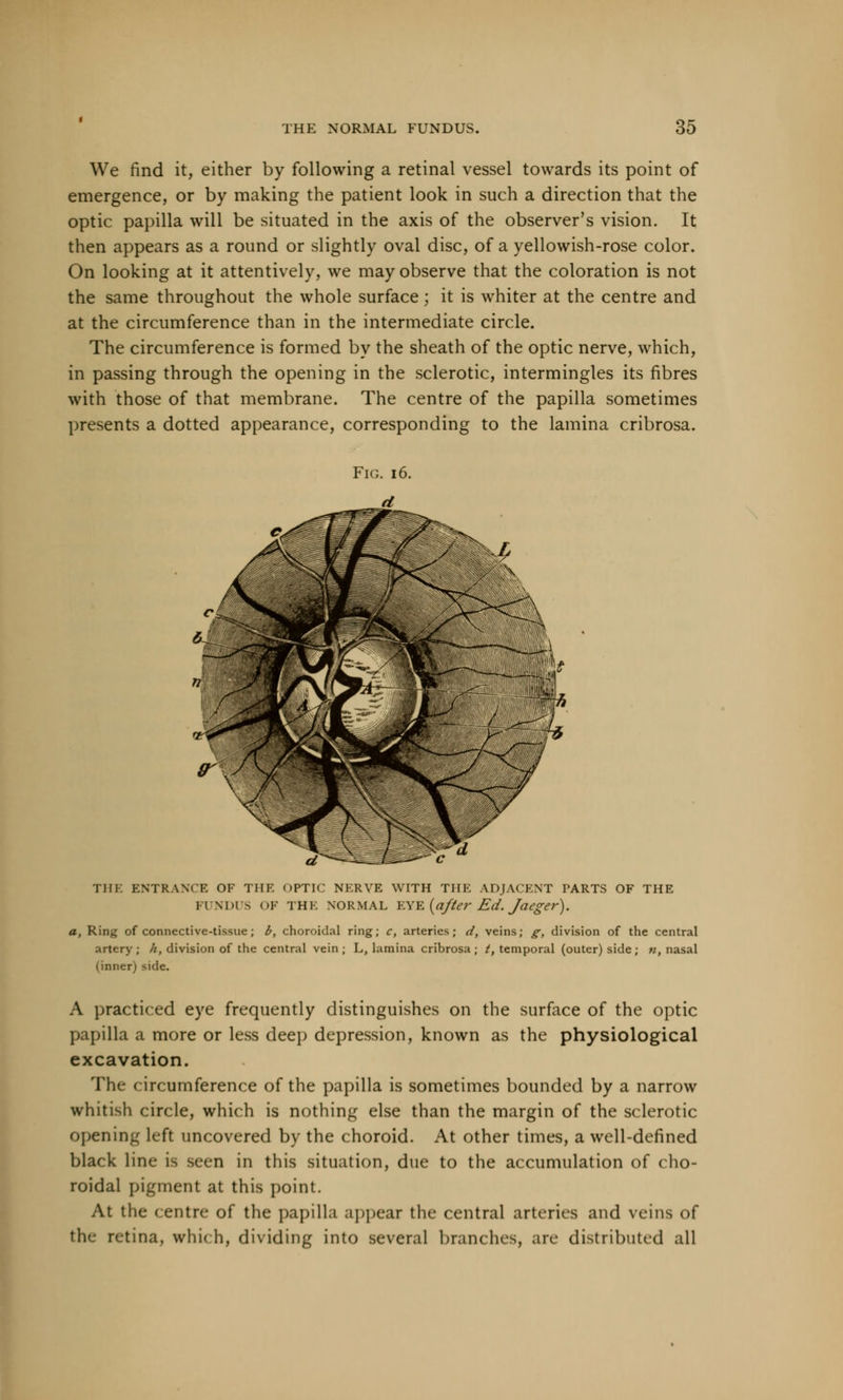 We find it, either by following a retinal vessel towards its point of emergence, or by making the patient look in such a direction that the optic papilla will be situated in the axis of the observer's vision. It then appears as a round or slightly oval disc, of a yellowish-rose color. On looking at it attentively, we may observe that the coloration is not the same throughout the whole surface; it is whiter at the centre and at the circumference than in the intermediate circle. The circumference is formed by the sheath of the optic nerve, which, in passing through the opening in the sclerotic, intermingles its fibres with those of that membrane. The centre of the papilla sometimes presents a dotted appearance, corresponding to the lamina cribrosa. THE ENTRANCE OF THE OPTIC NERVE WITH THE ADJACENT PARTS OF THE FUNDUS OF THE NORMAL EYE [after Ed. Jaeger). a, Ring of connective-tissue; b, choroidal ring; c, arteries; d, veins; g, division of the central artery; h, division of the central vein; L, lamina cribrosa; t, temporal (outer) side; n, nasal (inner) side. A practiced eye frequently distinguishes on the surface of the optic papilla a more or less deep depression, known as the physiological excavation. The circumference of the papilla is sometimes bounded by a narrow whitish circle, which is nothing else than the margin of the sclerotic opening left uncovered by the choroid. At other times, a well-defined black line is seen in this situation, due to the accumulation of cho- roidal pigment at this point. At the centre of the papilla appear the central arteries and veins of the retina, which, dividing into several branches, are distributed all