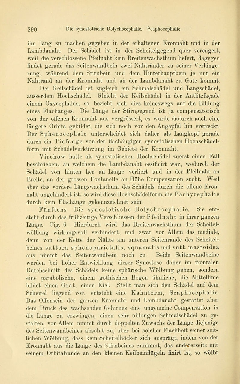 ilin laug zu machen gegeben in der erhaltenen Kronnaht und in der Lambdanalit. Der Schädel ist in der Scheitelgegend quer verengert, weil die verschlossene Pfeilnaht kein Breitenwachsthum liefert, dagegen findet gerade das Seitenwandbein zwei Nahtränder zu seiner Verlänge- rung, während dem Stirnbein und dem Hinterhauptbein je nur ein Nahtrand an der Kronnaht und an der Lambdanaht zu Gute kommt. Der Keilschädel ist zugleich ein Schmalschädel und Langschädel, ausserdem Hochschädel. Gleicht der Keilschädel in der Antlitzfa9ade einem Oxycephalus, so bezieht sich dies keineswegs auf die Bildung eines Flachauges. Die Länge der Stirngegend ist ja compensatorisch von der offenen Kronnaht aus vergrössert, es wurde dadurch auch eine längere Orbita gebildet, die sich noch vor den Augapfel hin erstreckt. Der Sphenocephale unterscheidet sich daher als Langkopf gerade durch ein Tiefange von der flachäugigen synostotischen Hochschädel- form mit Schädelverkürzung im Gebiete der Kronnaht. Virchow hatte als synostotischen Hochschädel zuerst einen Fall beschrieben, an welchem die Lambdanaht ossificirt war, wodurch der Schädel von hinten her an Länge verliert und in der Pfeilnaht an Breite, an der grossen Fontanelle an Höhe Compensation sucht. Weil aber das vordere Längswachsthum des Schädels durch die offene Kron- naht ungehindert ist, so wird diese Hochschädelform, die Pachycephalie durch kein Flachauge gekennzeichnet sein. Fünftens. Die synostotische Dolychocephalie. Sie ent- steht durch das frühzeitige Verschliessen der Pfeilnaht in ihrer ganzen Länge. Fig. 6. Hierdurch wird das Breitenwachsthum der Scheitel- wölbung wirkungsvoll verhindert, und zwar vor Allem das mediale, denn von der Kette der Nähte am unteren Seitenrande des Scheitel- beines suttura sphenoparietalis, squamalis und sutt. mastoidea aus nimmt das Seitenwandbein noch zu. Beide Seitenwandbeine werden bei hoher Entwicklung dieser Synostose daher im frontalen Durchschnitt des Schädels keine sphärische Wölbung geben, sondern eine parabolische, einem gothischen Bogen ähnliche, die Mittellinie bildet einen Grat, einen Kiel. Stellt man sich den Schädel auf dem Scheitel liegend vor, entsteht eine Kahn form, Scaphocephalie. Das Offensein der ganzen Kronnaht und Lambdanaht gestattet aber dem Druck des wachsenden Gehirnes eine ungemeine Compensation in die Länge zu erzwingen, einen sehr oblongen Schmalschädel zu ge- stalten, vor Allem nimmt durch doppelten Zuwachs der Länge diejenige des Seitenwandbeines absolut zu, aber bei solcher Flachheit seiner seit- lichen Wölbung, dass kein Scheitelhöcker sich ausprägt, indem von der Kronnaht aus die Länge des Stirnbeines zunimmt, das andererseits mit seinem Orbitalrande an den kleinen Keilbeinflügeln fixirt ist, so wölbt