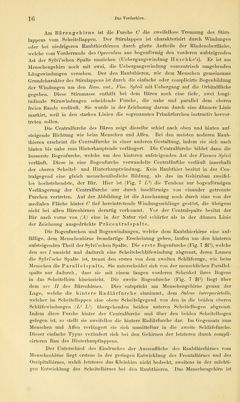 Am Bärengehirne ist die Furche C die zweifellose Trennung des Stirn- lappens vom Scheitellappen. Der Stirnlappen ist charakterisirt durch Windungen oder bei niedrigeren Eaubthierhirnen durch glatte Antheile der Rüidenoberfläche, welche vom Vorderrande des Operculum aus bogenförmig den vorderen aufsteigenden Ast der Sylvi'schen Spalte umziehen (Uebergangswindung Huschke's). Er ist am Menschengehirn noch mit zwei, die Uebergangswindung concentrisch umgebenden Längswindungen versehen. Der den Raubthieren, wie dem Menschen gemeinsame Grundcharakter des Stirnlappens ist durch die einfache oder complicirte Bogenbüdung der Windungen um den Ram. ant., Fiss. Sylvii mit Uebergang auf die Orbitalfläche gegeben. Diese Stirnmasse enthält bei dem Bären noch eine tiefe, zwei longi- tudinale Stirnwindungen scheidende Furche, die nahe und parallel dem oberen freien Rande verläuft. Sie wurde in der Zeichnung darum durch eine dünnere Linie markirt, weil in den starken Linien die sogenannten Primärfurchen instructiv hervor- treten sollen. Die Centralfurche des Bären zeigt dieselbe schief nach oben und hinten auf- steigende Richtung wie beim Menschen und Affen. Bei den meisten anderen Raub- thieren erscheint die Centralfurche in einer anderen Gestaltung, indem sie sich nach hinten bis nahe zum Hinterhauptende verlängert. Die Centralfurche bildet dann die äusserste Bogenfurche, welche um den hinteren aufsteigenden Ast der Fissura Sylvü verläuft. Diese in eine Bogenfurche verwandelte Centralfurche verläuft innerhalb der oberen Scheitel- und Hinterhauptwindung. Kein Raubthier besitzt in der Cen- tralgegend eine gleich menschenähnliche Bildung, als das im Gehirnbau zweifel- los hochstehendste, der Bär. Hier ist (Fig. 7 L^) die Tendenz zur bogenförmigen Verlängerung der Centralfurche nur durch inselförmige von einander getrennte Furchen vertreten. Auf der Abbildung ist die Anschauimg noch durch eine von der medialen Fläche hinter C tief hereintretende Windungsschlinge gestört, die übrigens nicht bei allen Bärenhimen derartig vorkommt. Vor der Centralspalte besitzt der Bär nach vorne von (A) eine in der Natur viel schärfer als in der dünnen Linie der Zeichnung ausgedrückte Präcentralspalte. Die Bogenfurchen und Bogenwindungen, welche dem Eaubthierhirne eine auf- fällige, dem Menschenhinie fremdartige Erscheinung geben, laufen um den hinteren aufsteigenden Theil der Sylvi'schen Spalte. Die erste Bogenfurche (Fig. 7 SP), welche den arc I umzieht und dadurch eine Scheitelschläfewindung abgrenzt, deren Lumen die Sylvi'sche Spalte ist, trennt den ersten von dem zweiten Schläfezuge, wie beim Menschen die Parallelspalte. Sie unterscheidet sich von der menschlichen Parallel- spalte nur dadurch, dass sie mit einem langen vorderen Schenkel ihres Bogens in das Scheitelhirn hineinzieht. Die zweite Bogenfurclie (Fig. 7 SP) liegt über dem arc II des Bärenhirnes. Dies entspricht am Menschengehirne genau der Lage, welche die hintere Radiär furche eimiimmt, dem Sulcus interpar letalis, welcher im Scheitellappen eine obere Scheitelgegend von den in die beiden oberen Schläfewindungen (L^ L''-) übergehenden beiden unteren Scheitelbogen abgrenzt. Indem diese Furche hinter der Centralfurche und über den beiden Scheitelbogen gelegen ist, so stellt sie zweifellos die hintere Radiärfurche dar. Im Gegeiisatz zum Menschen und Affen verlängert sie sich unmittelbar in die zweite Schläfefurche. Dieser einfache Typus verändert sich bei den Gehirnen der letzteren durch compli- cirteren Bau des Hinterhauptlappens. Der Unterschied des Eindruckes der Aussenfläche des Raubthierhirnes vom Menschenhirne liegt erstens in der geringen Entwicklung des Frontalhirnes und des Occipitalhirnes, welch letzteres das Kleinliirn nicht bedeckt, zweitens in der mächti- gen Entwicklung des Scheitelhirnes bei den Raubthieren. Das Menschengehirn ist