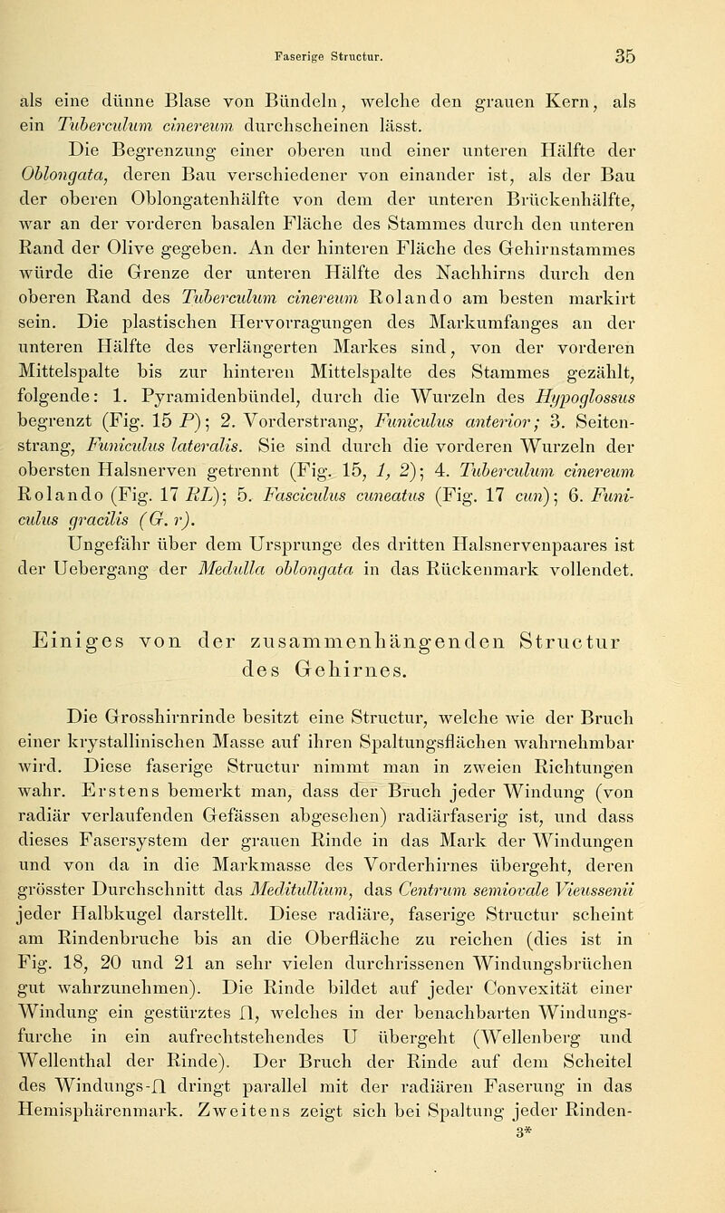als eine dünne Blase von Bündeln, welche den grauen Kern, als ein Tubercidum cinereum. durchscheinen lässt. Die Begrenzung einer oberen und einer unteren Hälfte der Ohlongata, deren Bau verschiedener von einander ist, als der Bau der oberen Oblongatenhälfte von dem der unteren Brückenhälfte, war an der vorderen basalen Fläche des Stammes durch den unteren Rand der Olive gegeben. An der hinteren Fläche des Gfehirnstammes würde die Grenze der unteren Hälfte des Nachhirns durch den oberen Rand des Tuberculum cinereum Rolando am besten markirt sein. Die plastischen Hervorragungen des Markumfanges an der unteren Hälfte des verlängerten Markes sind, von der vorderen Mittelspalte bis zur hinteren Mittelspalte des Stammes gezählt, folgende: 1. Pyramidenbündel, durch die Wurzeln des Hypoglossus begrenzt (Fig. 15 P); 2, Vorderstrang, Funiculus anterior; 3. Seiten- strang, Funiculus lateralis. Sie sind durch die vorderen Wurzeln der obersten Halsnerven getrennt (Fig. 15, 1, 2); 4. Tuberculum cinereum Rolando (Fig. 17 itZ/); 5. Fasciculus cuneatus (Fig. 17 cun)] 6. Funi- culus gracilis (G. r). Ungefähr über dem Ursprünge des dritten Halsnervenpaares ist der Uebergang der Medulla ohlongata in das Rückenmark vollendet. Einiges von der zusammenhängenden Structur des Gekirnes. Die Grosshirnrinde besitzt eine Structur, welche wie der Bruch einer kristallinischen Masse auf ihren Spaltungsflächen wahrnehmbar wird. Diese faserige Structur nimmt man in zweien Richtungen wahr. Erstens bemerkt man, dass der Bruch jeder Windung (von radiär verlaufenden Gefässen abgesehen) radiärfaserig ist, und dass dieses Fasersystem der grauen Rinde in das Mark der Windungen und von da in die Markmasse des Vorderhirnes übergeht, deren grösster Durchschnitt das Meditullium, das Centrum semiovale Vieussenii jeder Halbkugel darstellt. Diese radiäre, faserige Structur scheint am Rindenbruche bis an die Oberfläche zu reichen (dies ist in Fig. 18, 20 und 21 an sehr vielen durchrissenen Windungsbrüchen gut wahrzunehmen). Die Rinde bildet auf jeder Convexität einer Windung ein gestürztes 11, welches in der benachbarten Windungs- furche in ein aufrechtstehendes U übergeht (Wellenberg und Wellenthal der Rinde). Der Bruch der Rinde auf dem Scheitel des Windungs-Il dringt parallel mit der radiären Faserung in das Hemisphärenmark. Zweitens zeigt sich bei Spaltung jeder Rinden- 3*